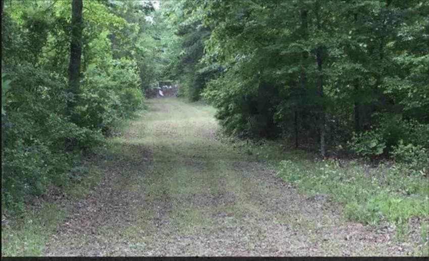 35.71 acres in Cass County - photo 47