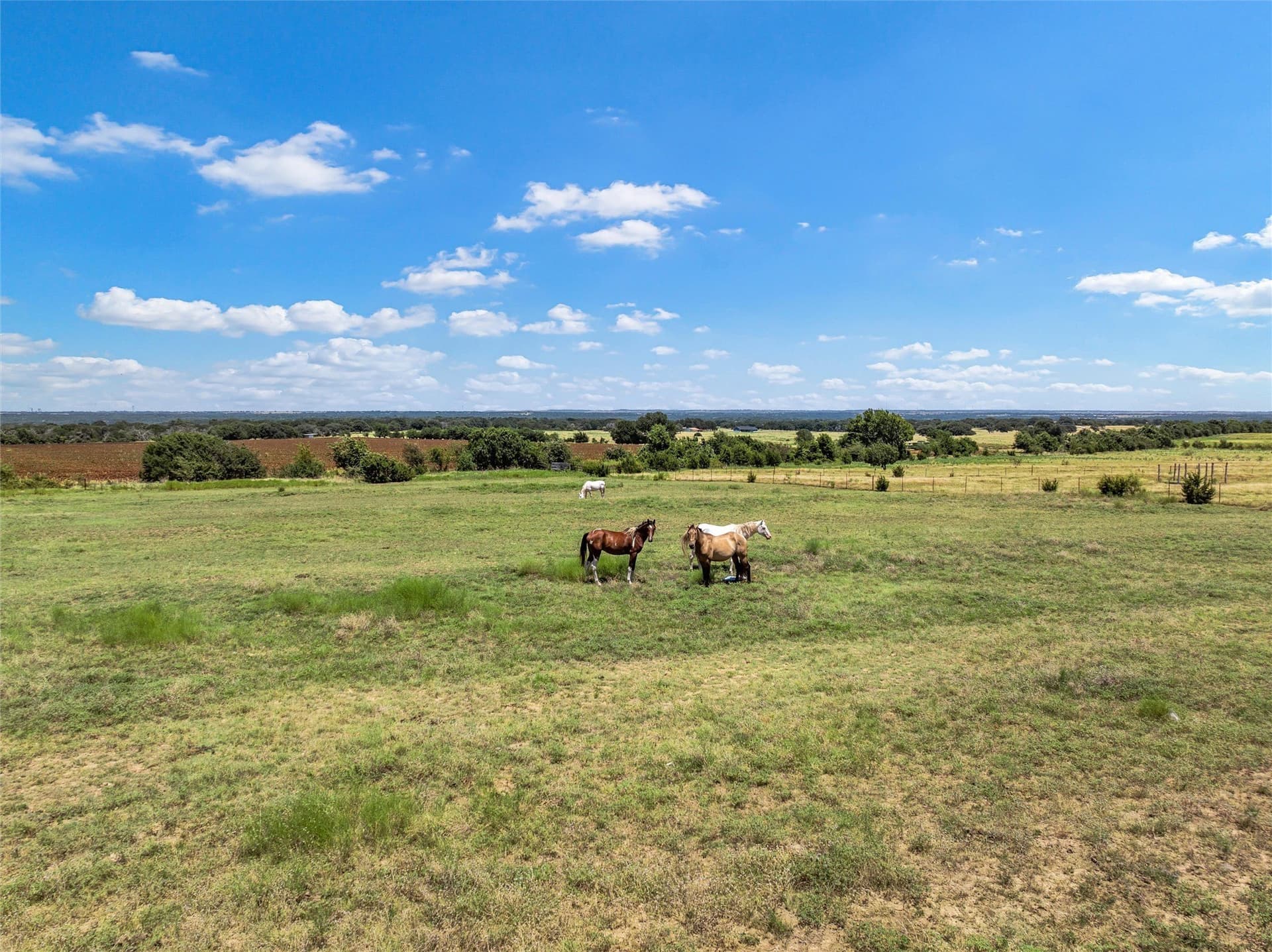 40.89 acres in Coryell County - photo 39