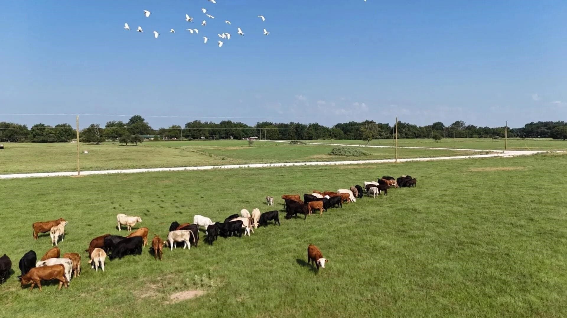 3.22 acres in Limestone County - photo 10