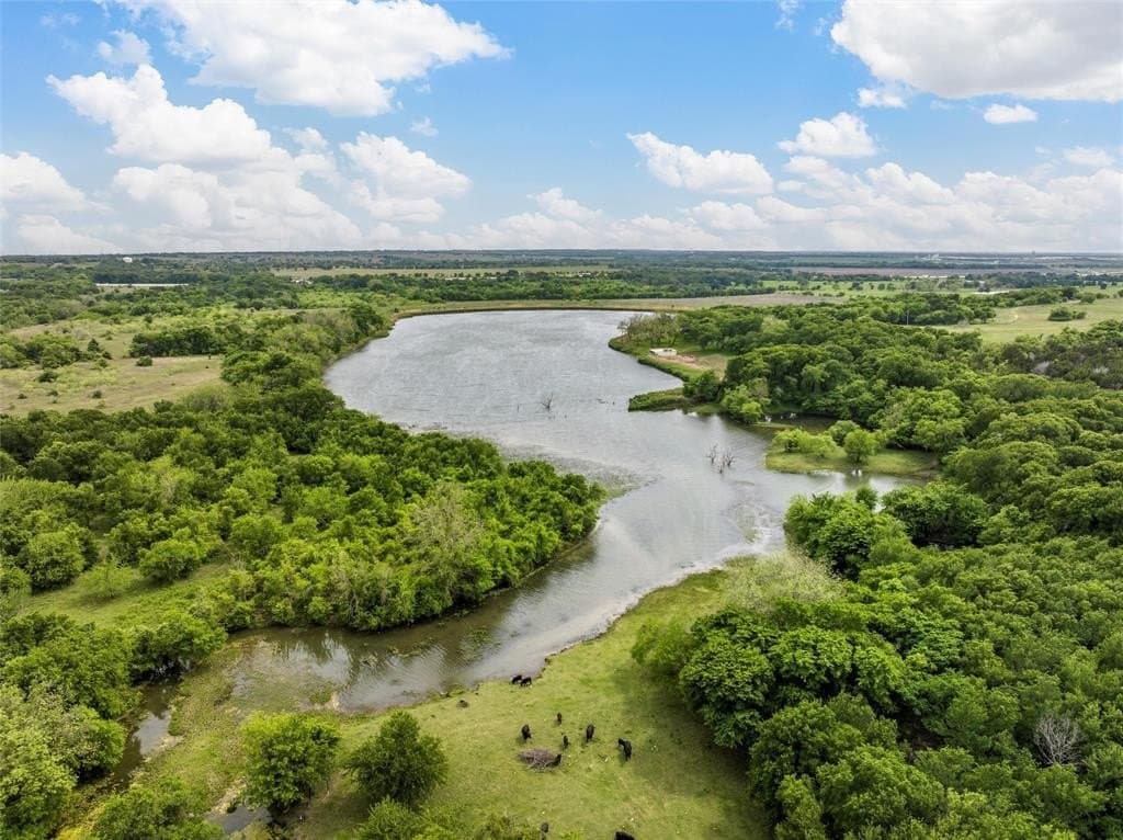 117 acres in Hill County gallery image 2