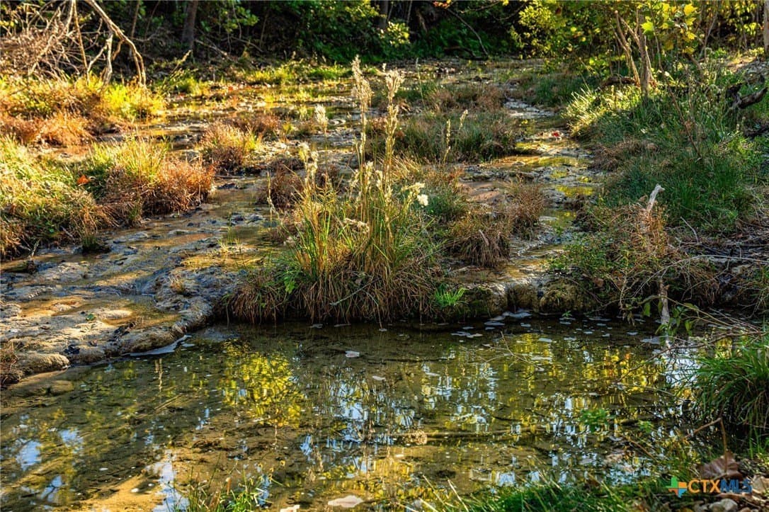 64.5 acres in Bell County - photo 4