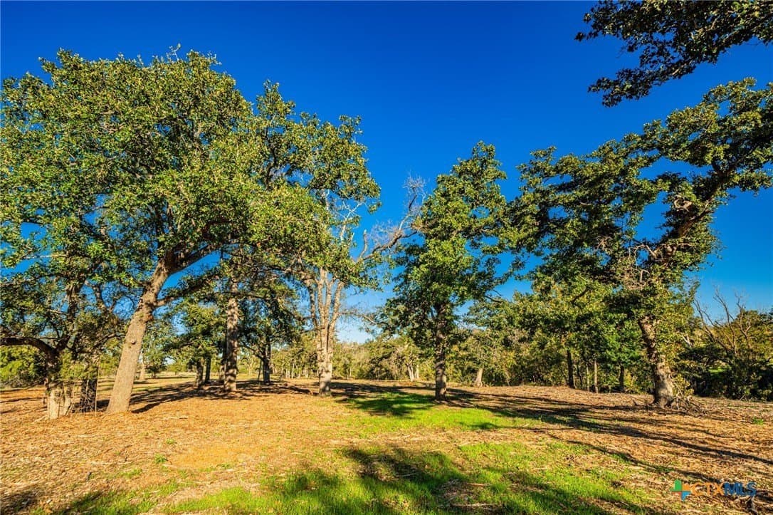 64.5 acres in Bell County - photo 15