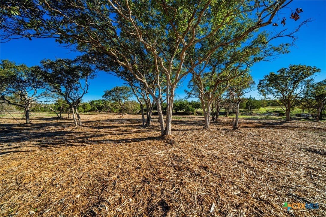 64.5 acres in Bell County - photo 14