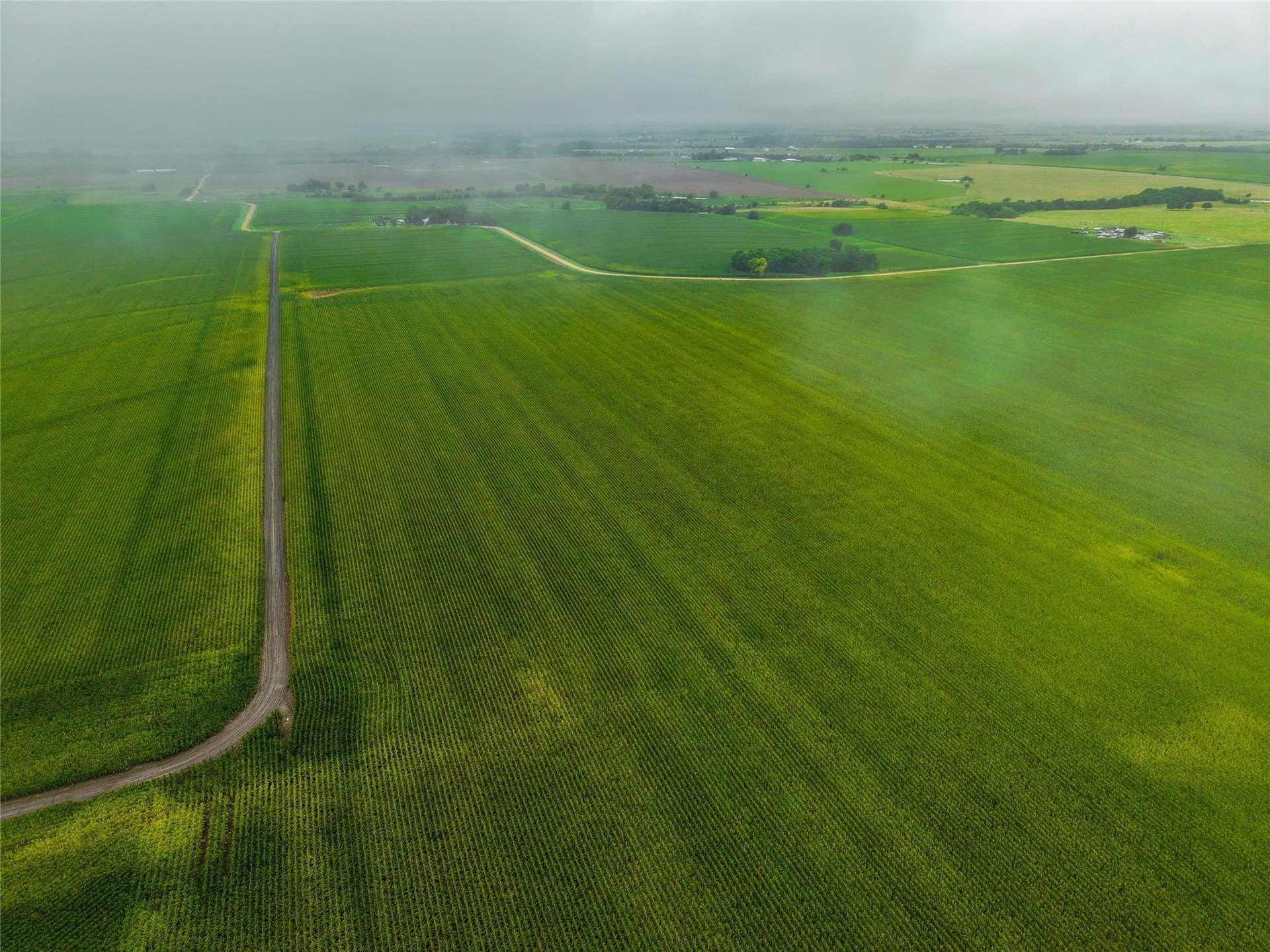 46.44 acres in Bell County - photo 11