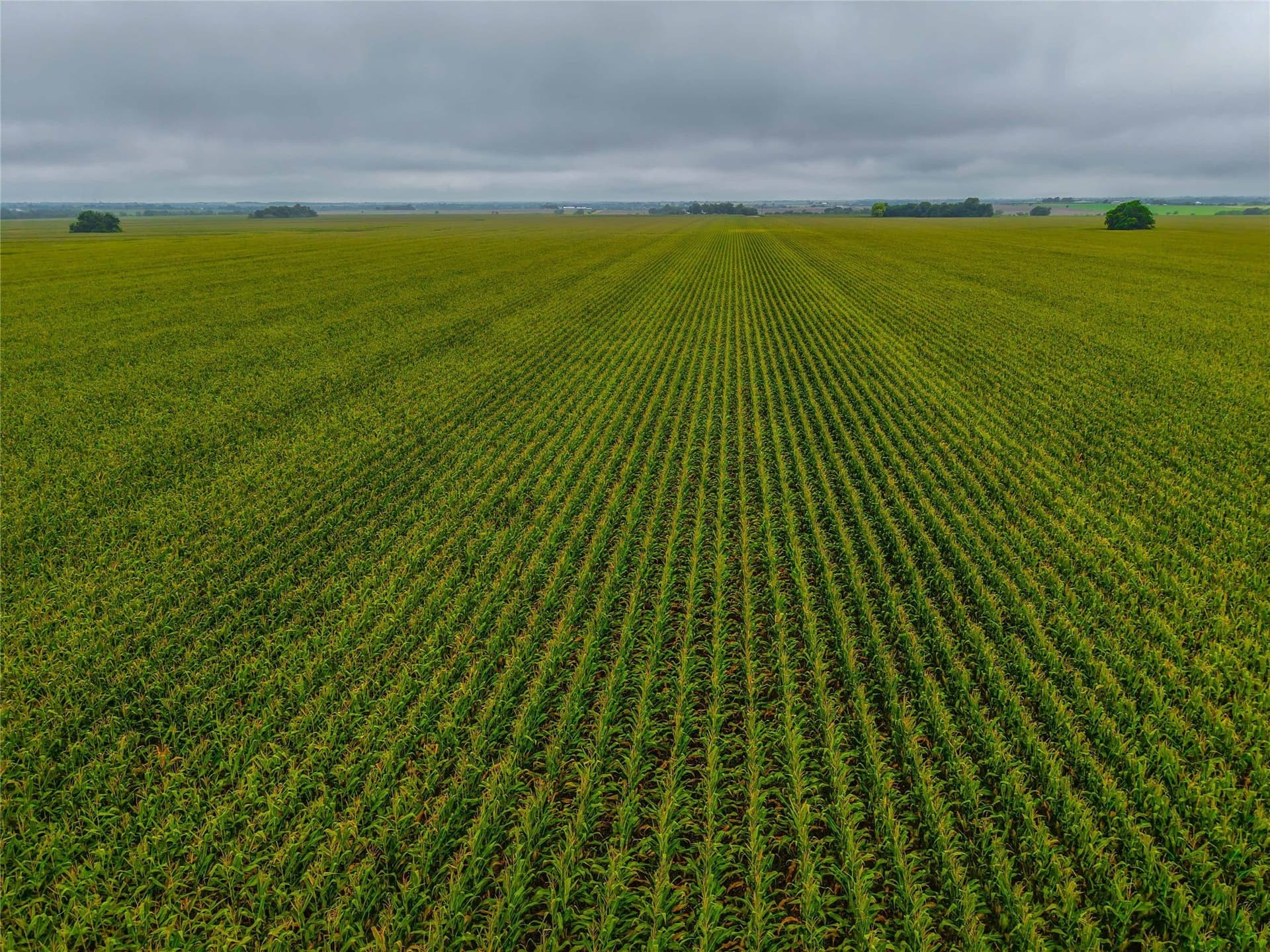 46.44 acres in Bell County - photo 16
