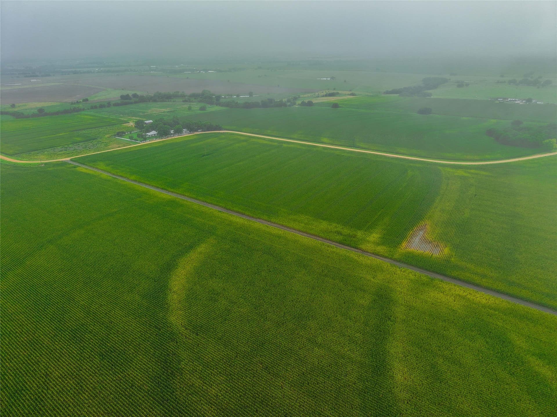 46.44 acres in Bell County - photo 9