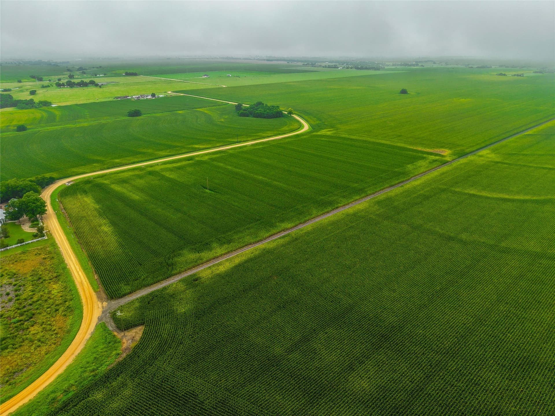 46.44 acres in Bell County - photo 7