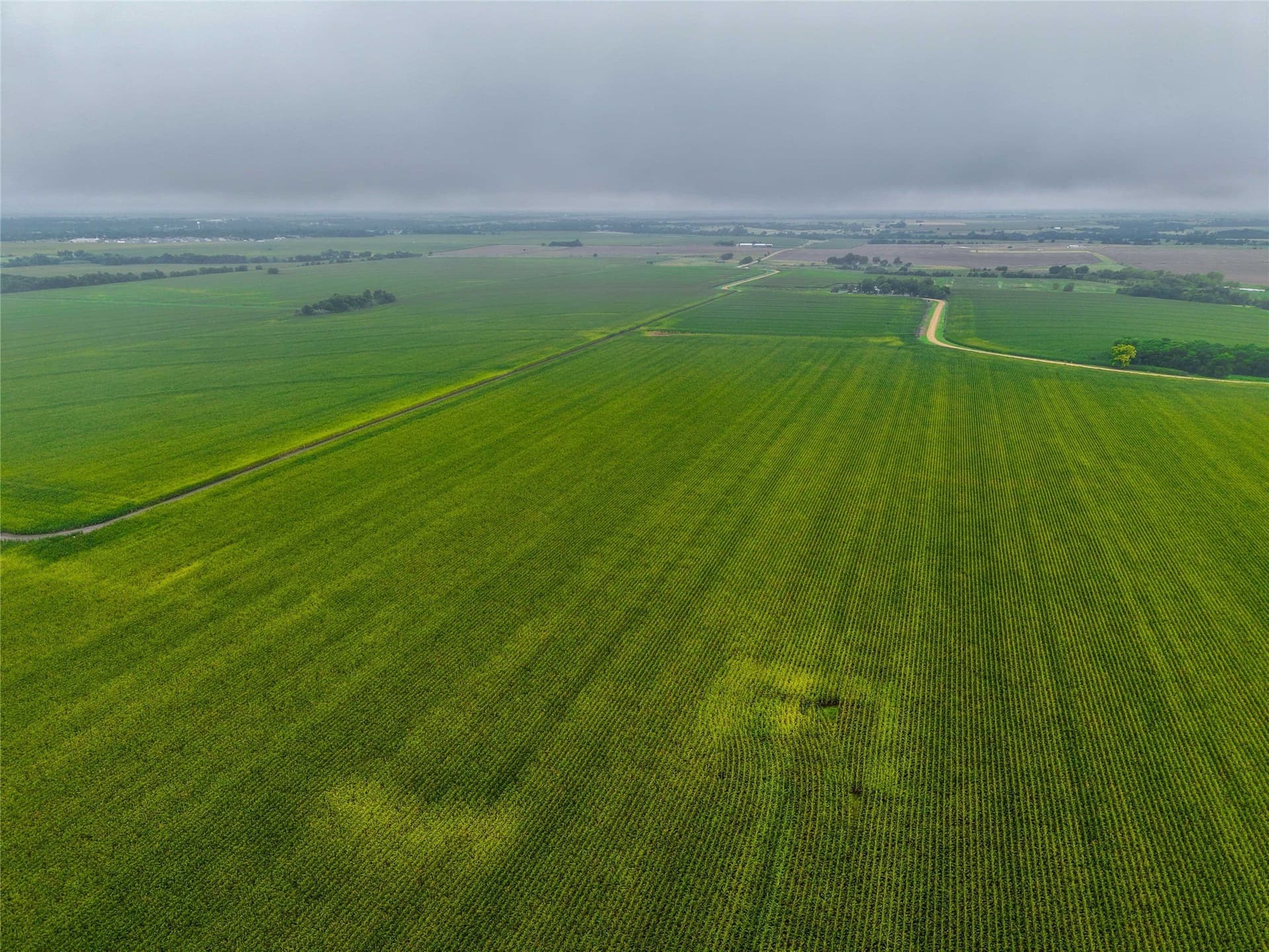 46.44 acres in Bell County - photo 18