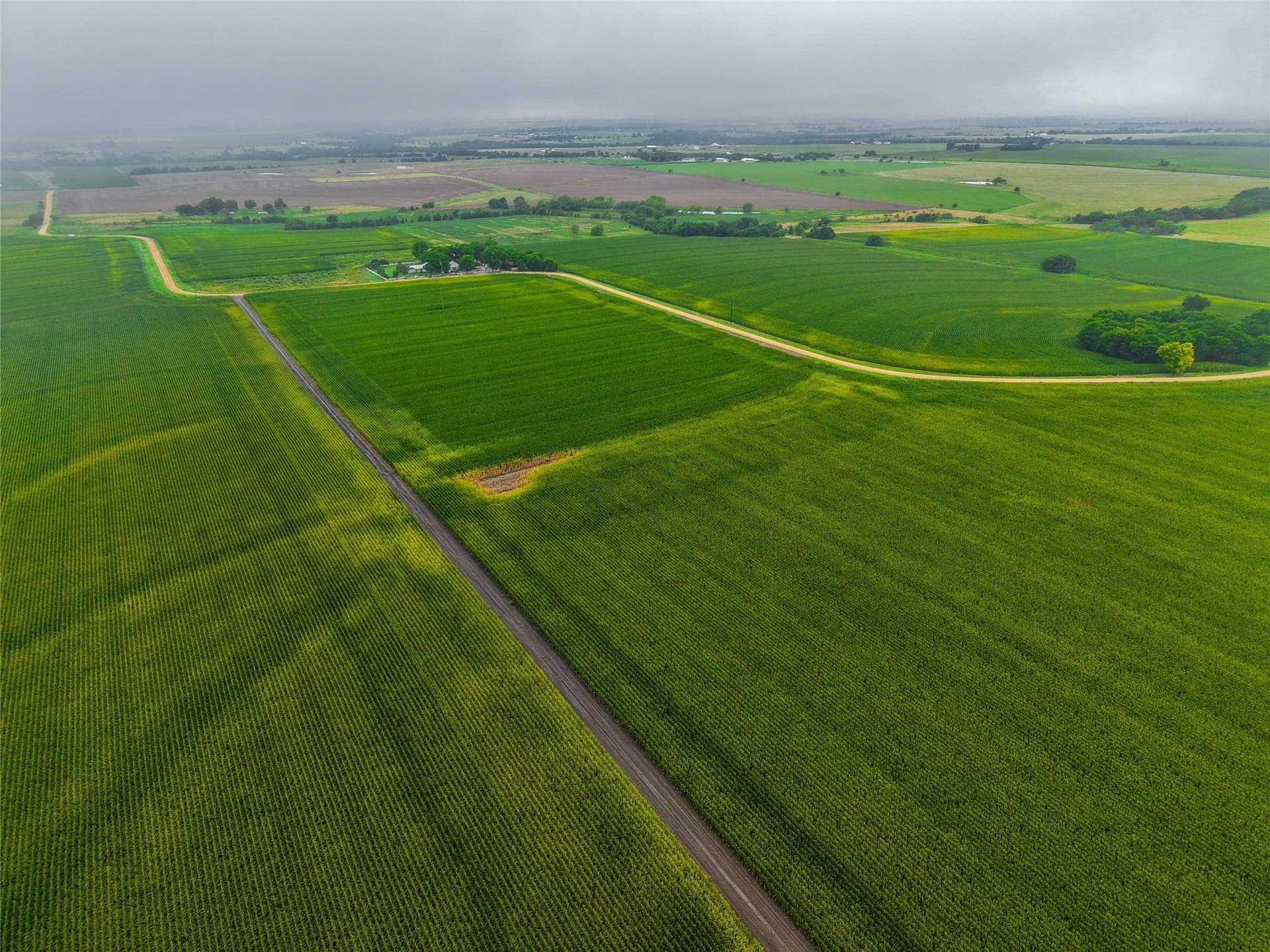 46.44 acres in Bell County - photo 10