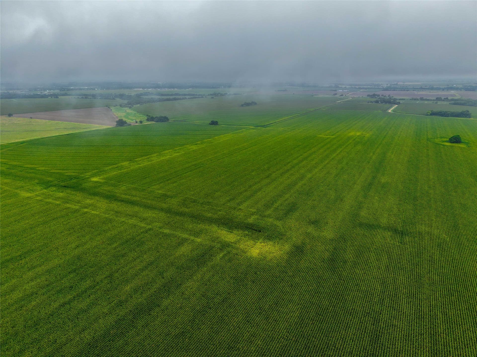 46.44 acres in Bell County - photo 15