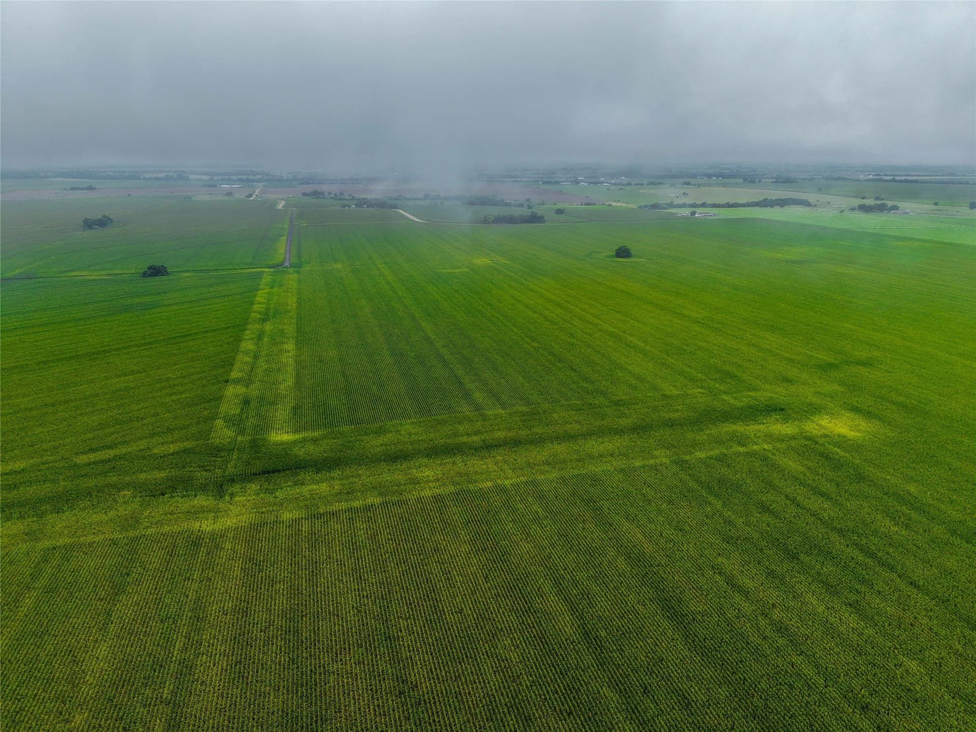 46.44 acres in Bell County - photo 12
