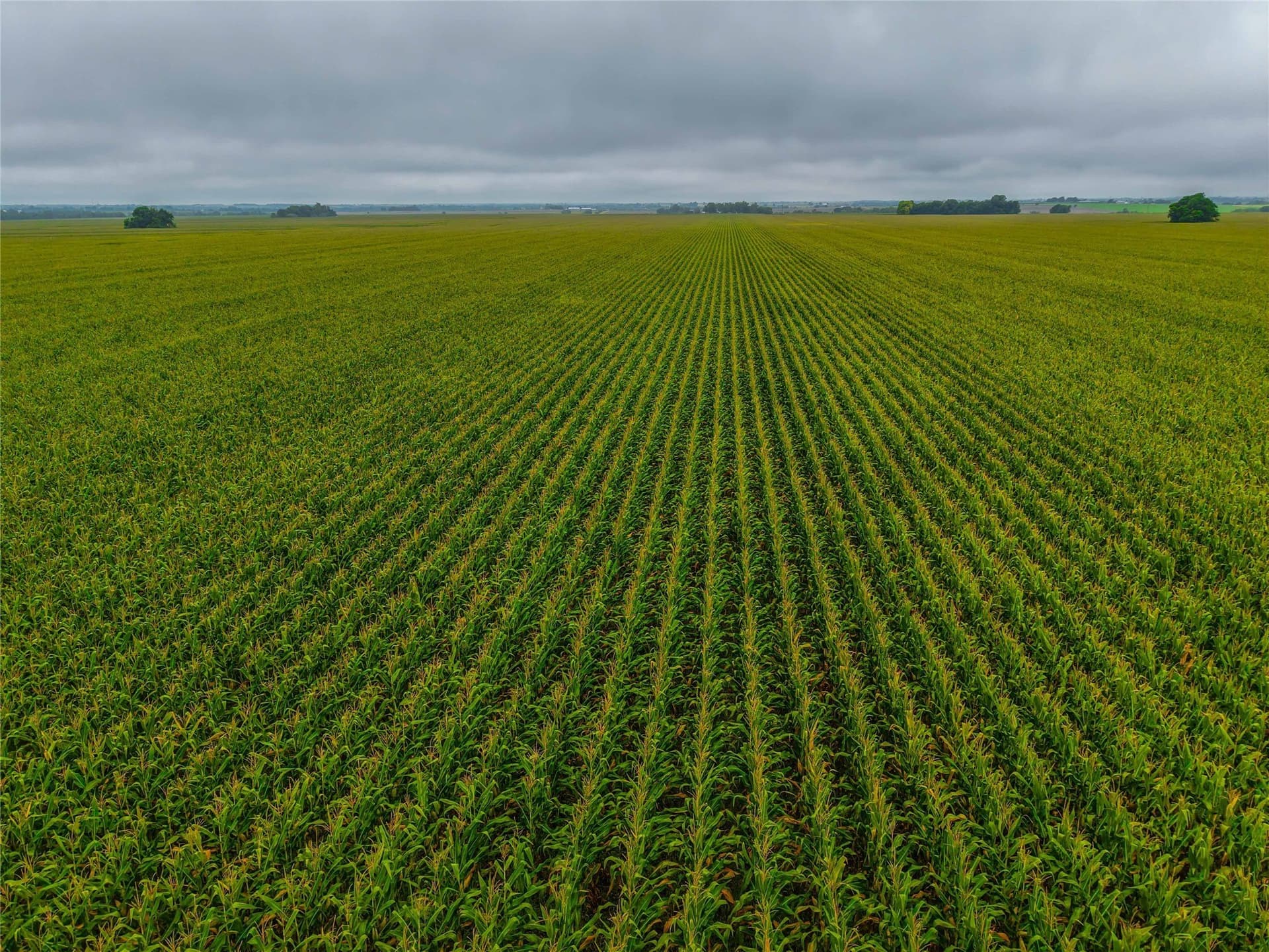 46.44 acres in Bell County - photo 17