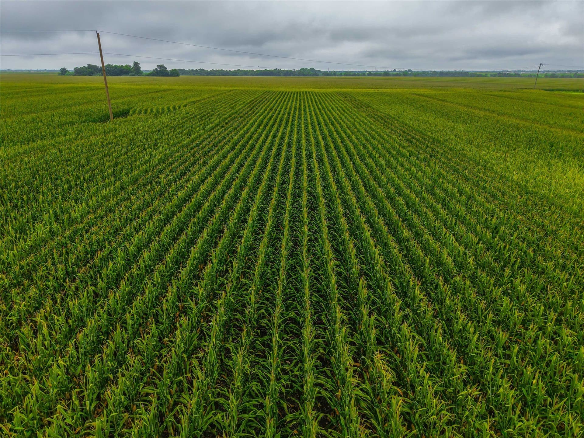 46.44 acres in Bell County - photo 23