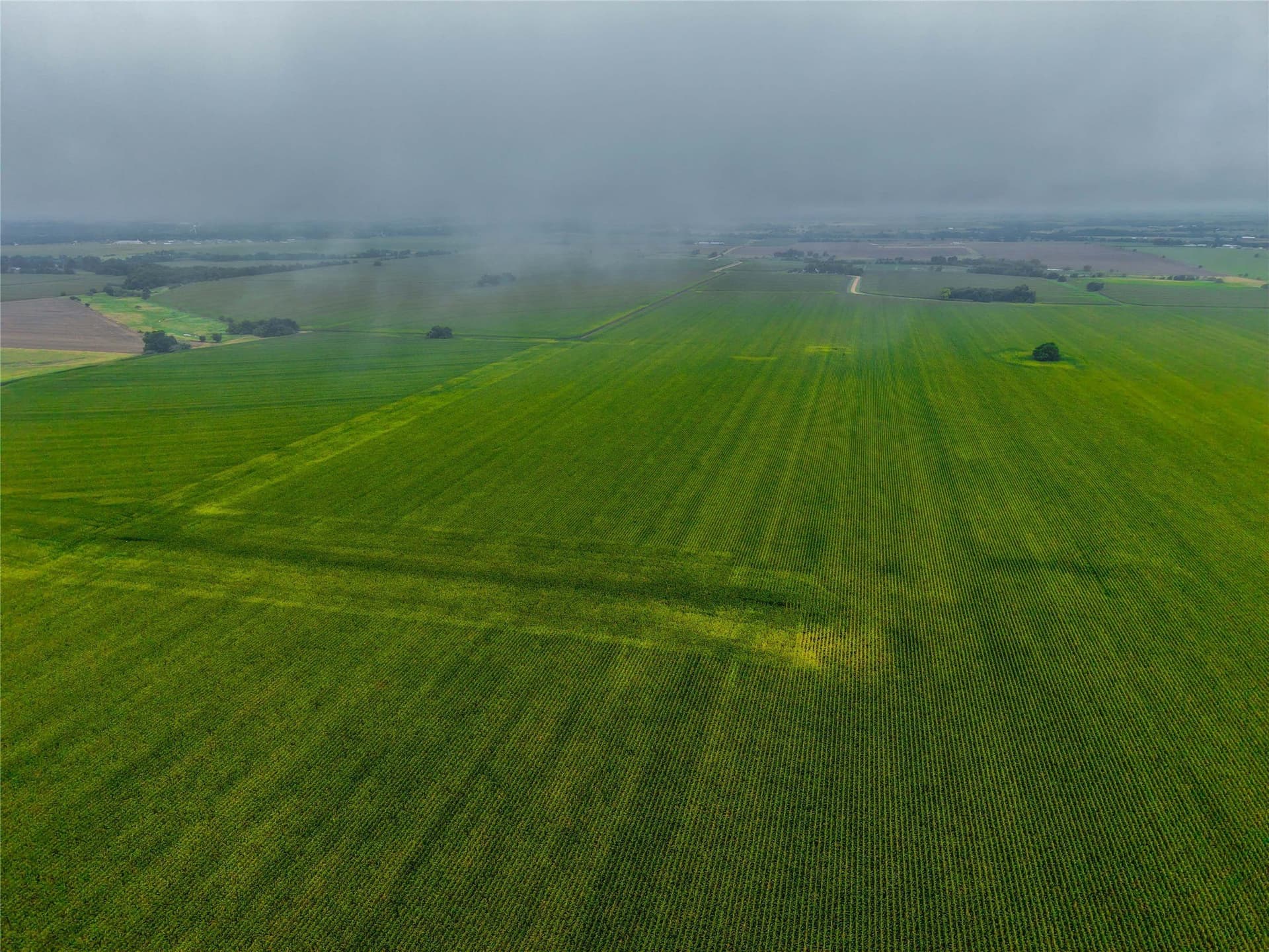 46.44 acres in Bell County - photo 14