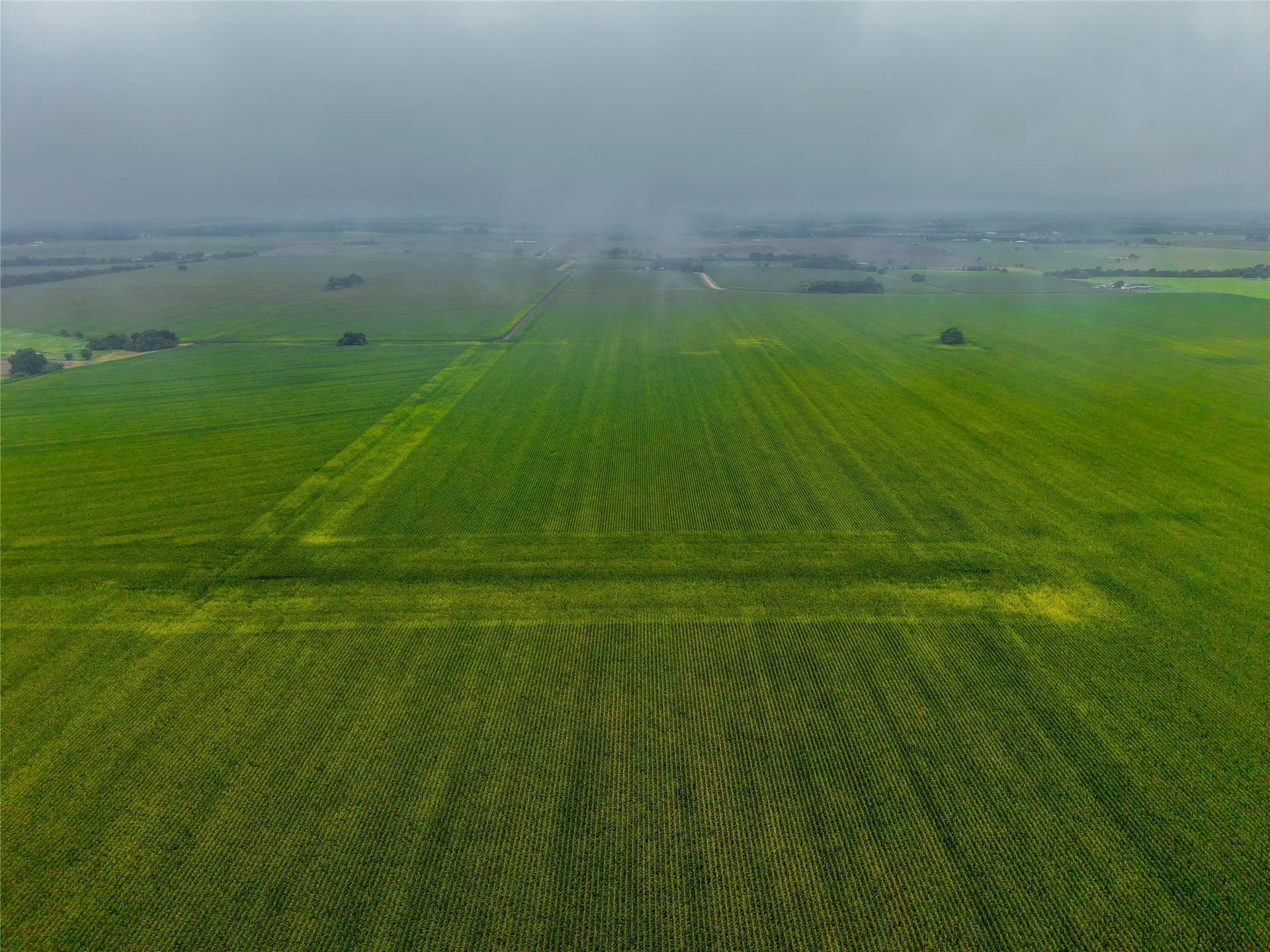 46.44 acres in Bell County - photo 13