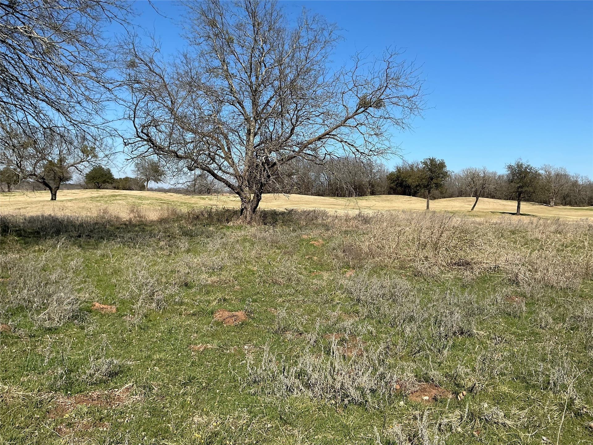 0.15 acres in Hill County - photo 16