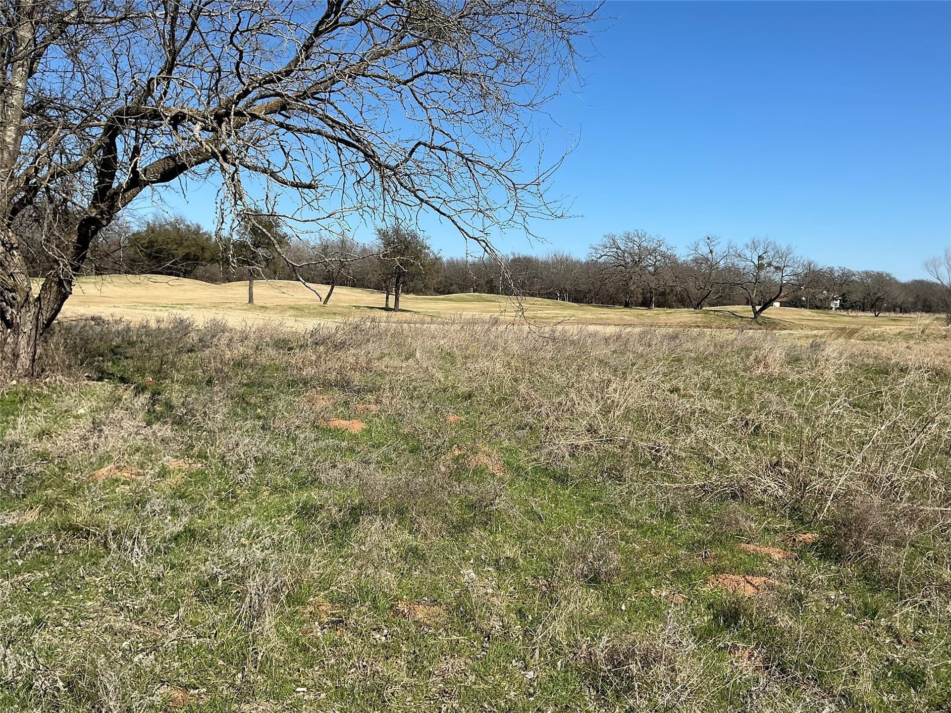 0.15 acres in Hill County - photo 14
