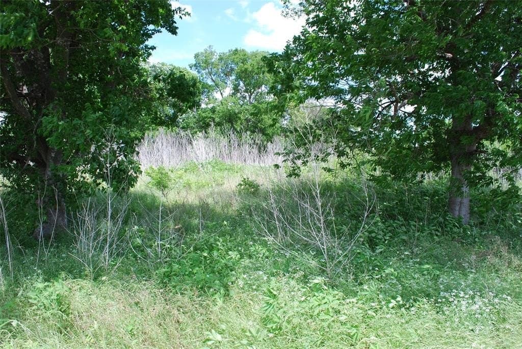 0.75 acres in Limestone County gallery image 3