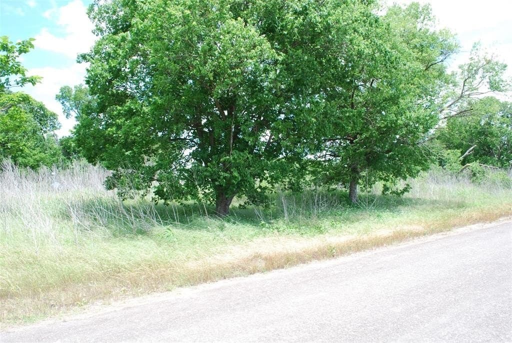 0.75 acres in Limestone County gallery image 2