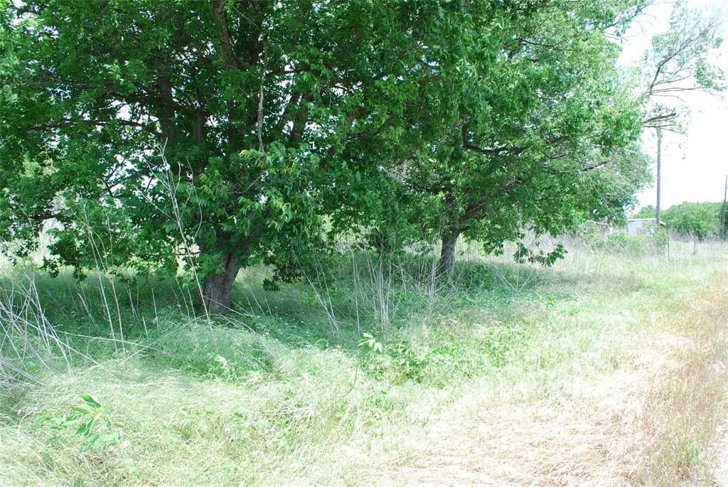 0.75 acres in Limestone County gallery image 4