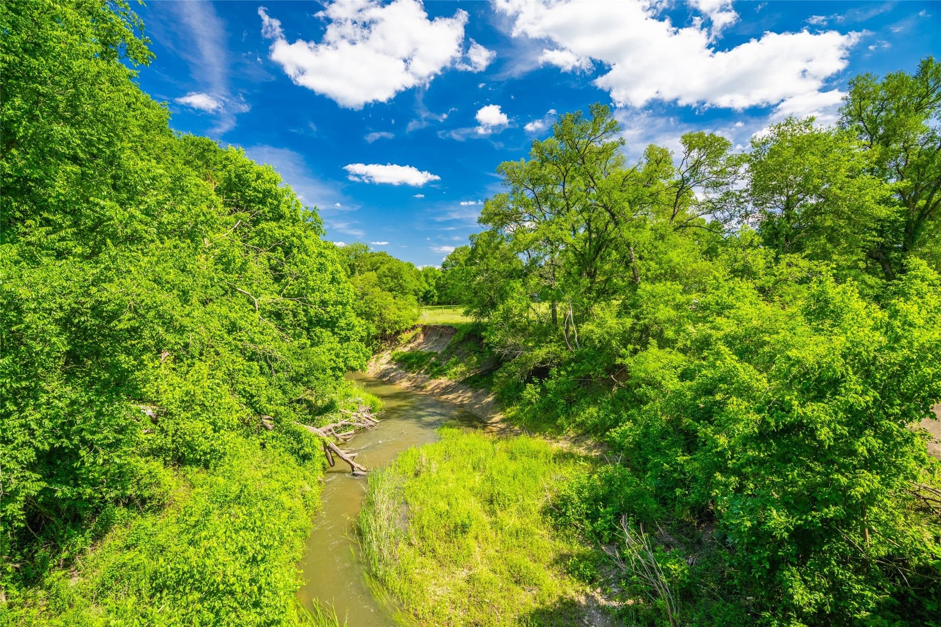 230 acres in Limestone County - photo 2