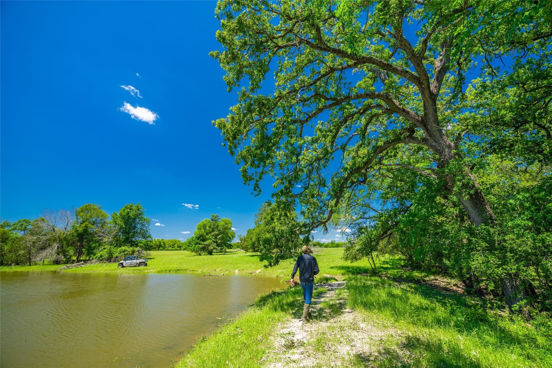 230 acres in Limestone County - photo 26