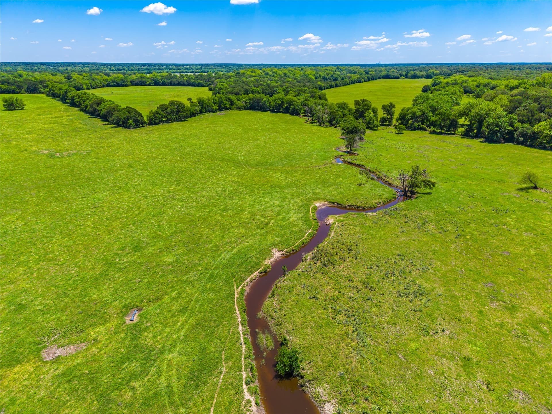 230 acres in Limestone County - photo 28