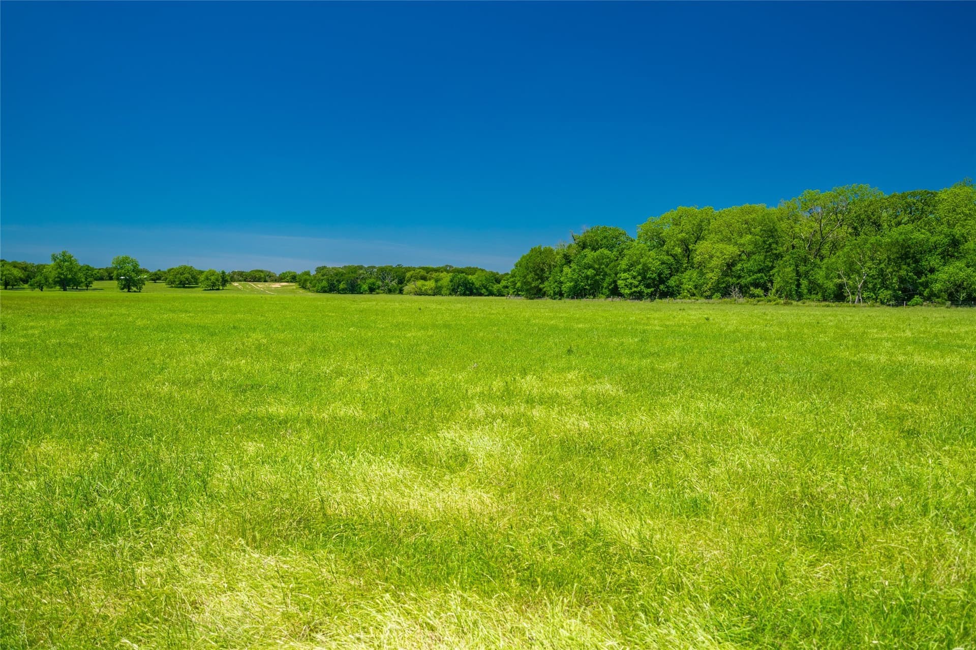 230 acres in Limestone County - photo 25