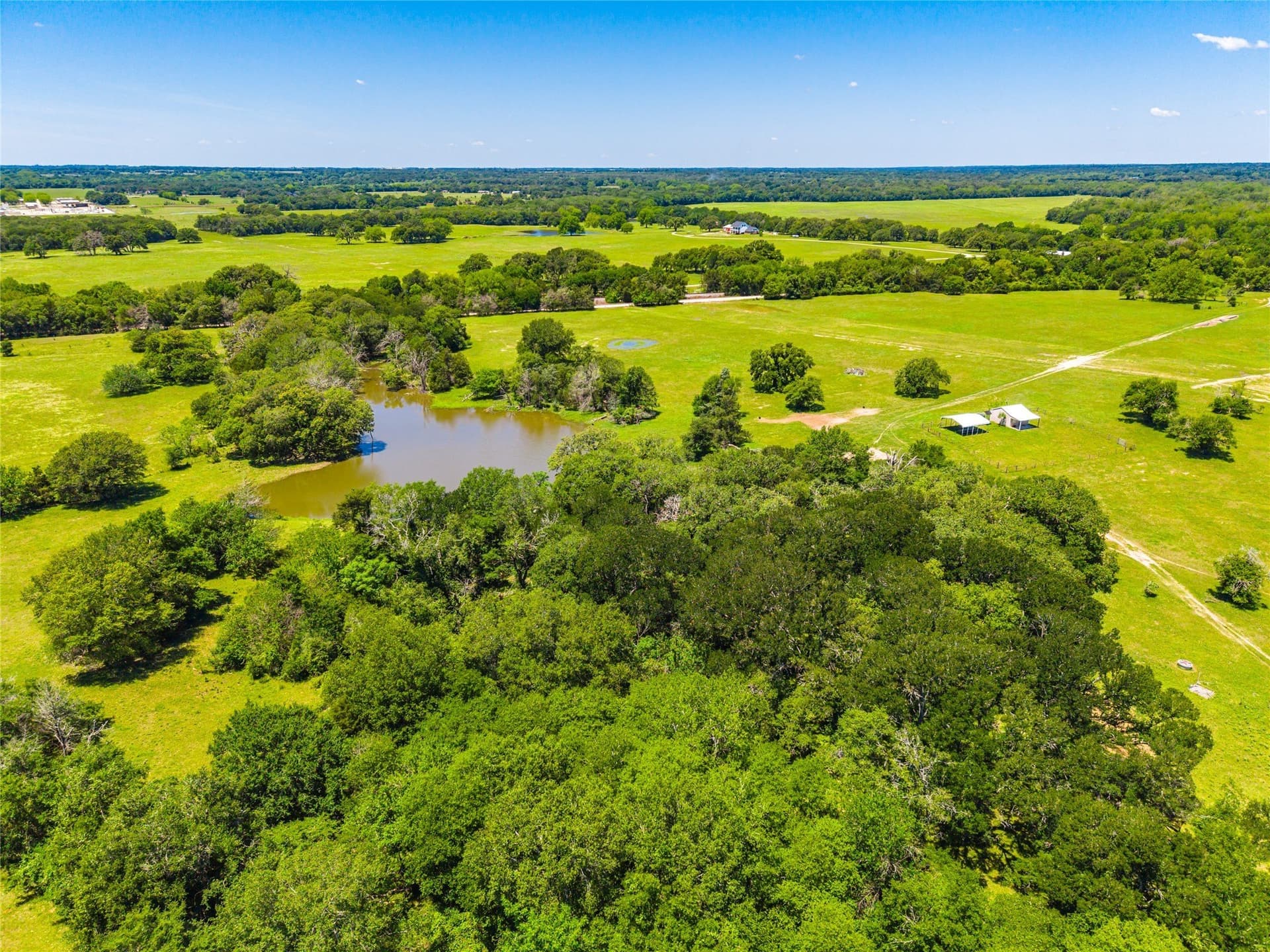 230 acres in Limestone County - photo 23
