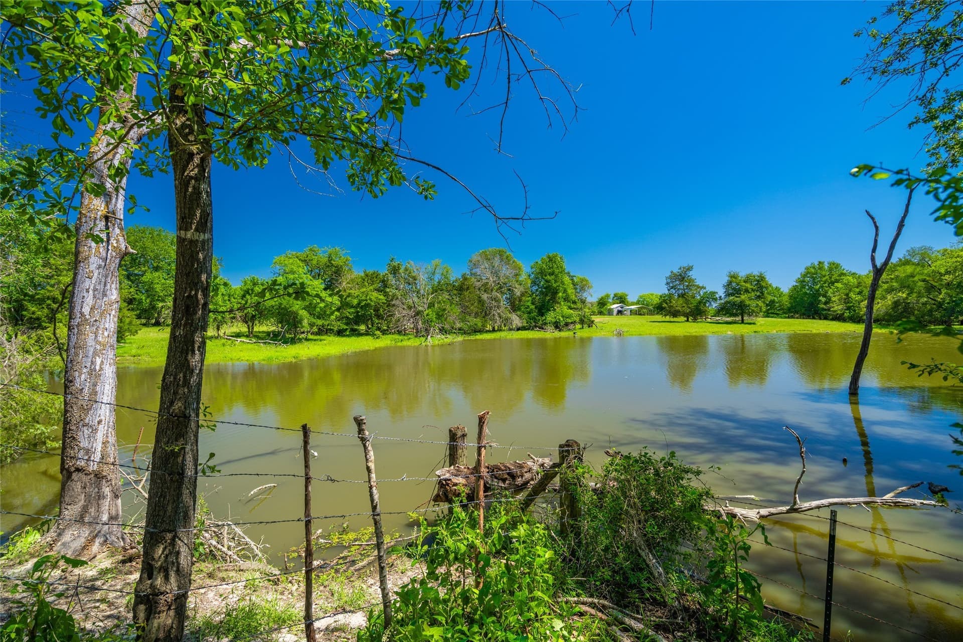 230 acres in Limestone County - photo 14