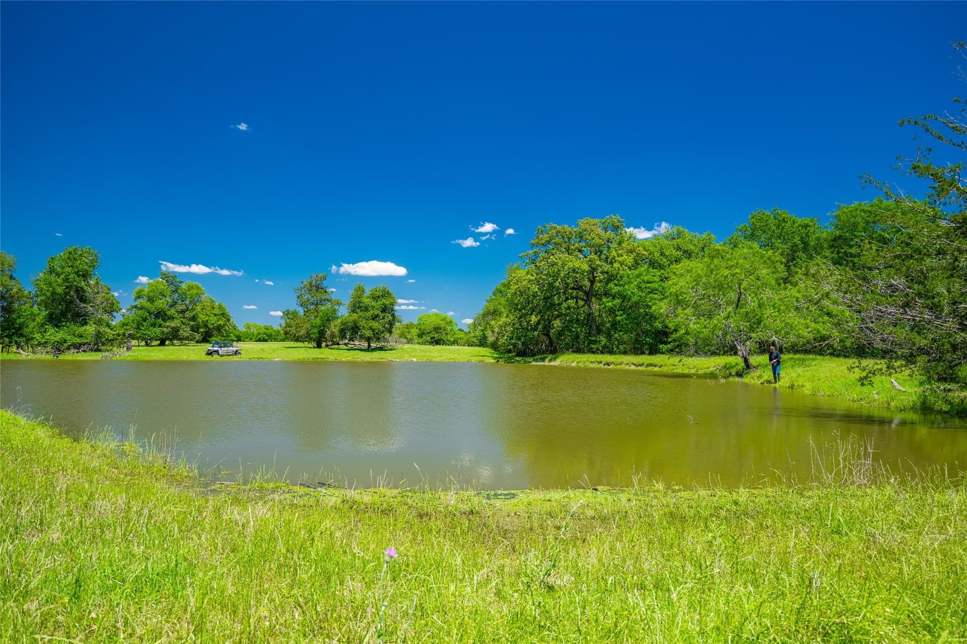 230 acres in Limestone County - photo 3