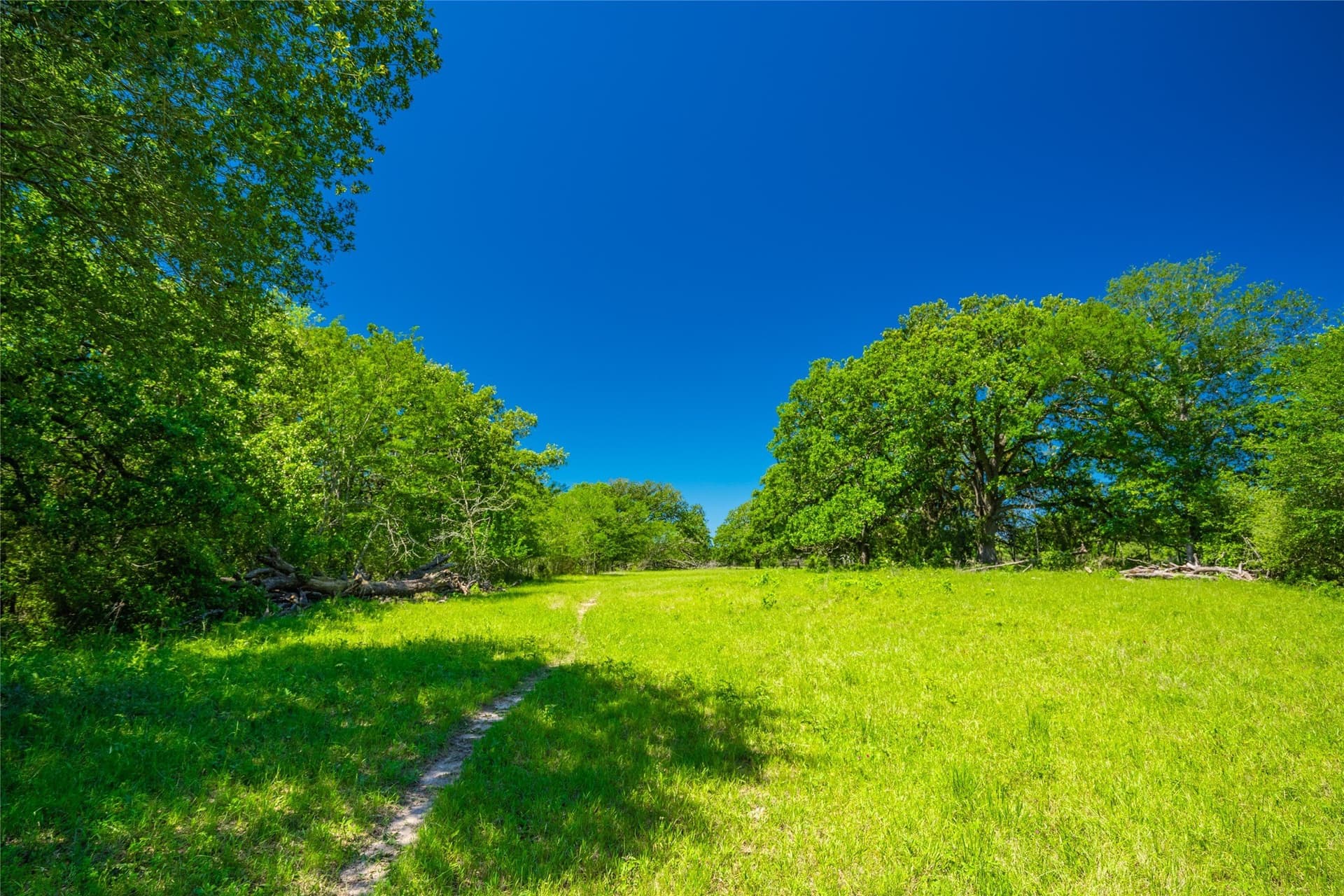 230 acres in Limestone County - photo 15