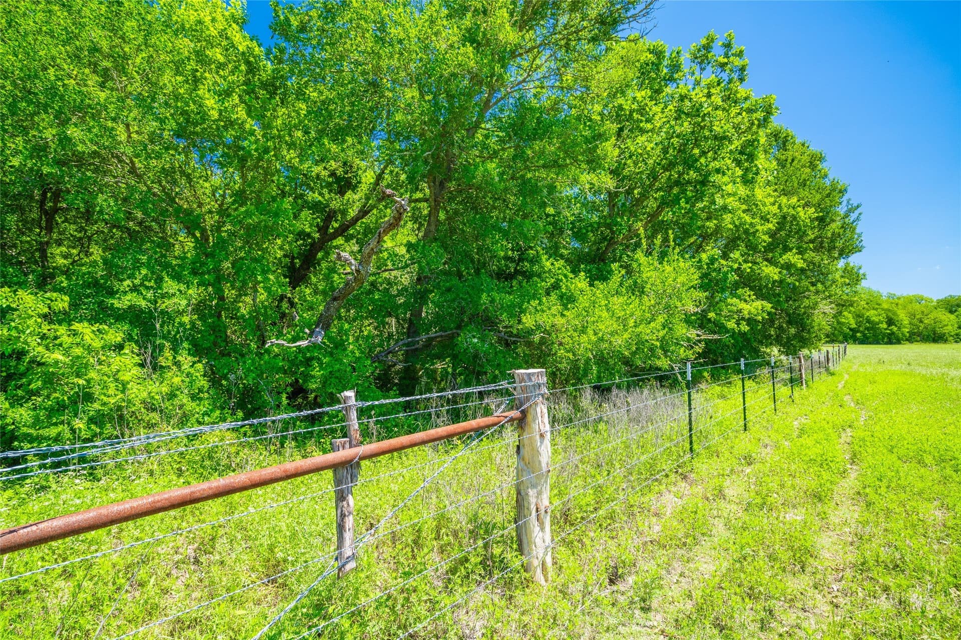 230 acres in Limestone County - photo 24