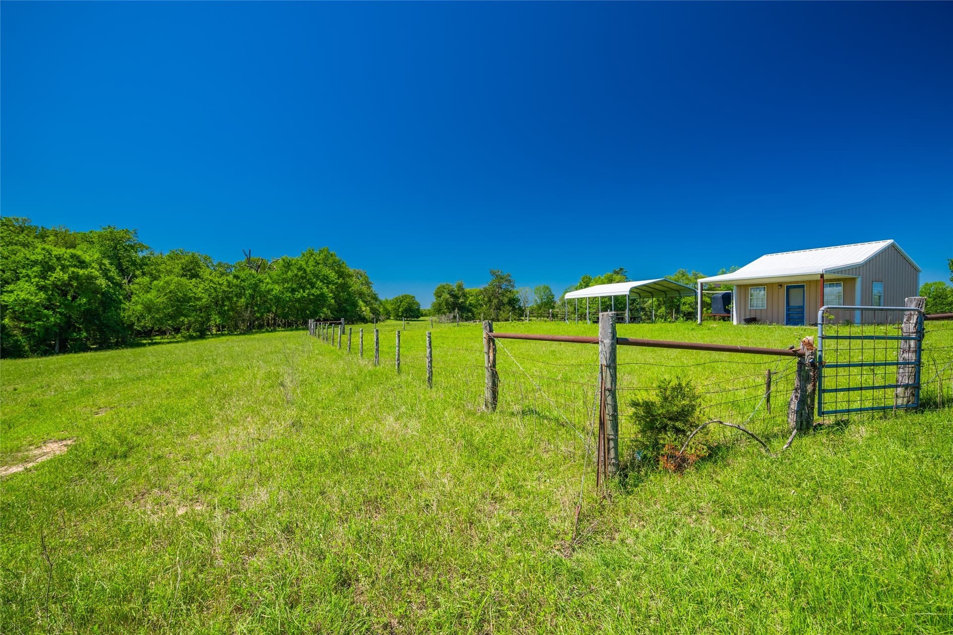 230 acres in Limestone County - photo 29