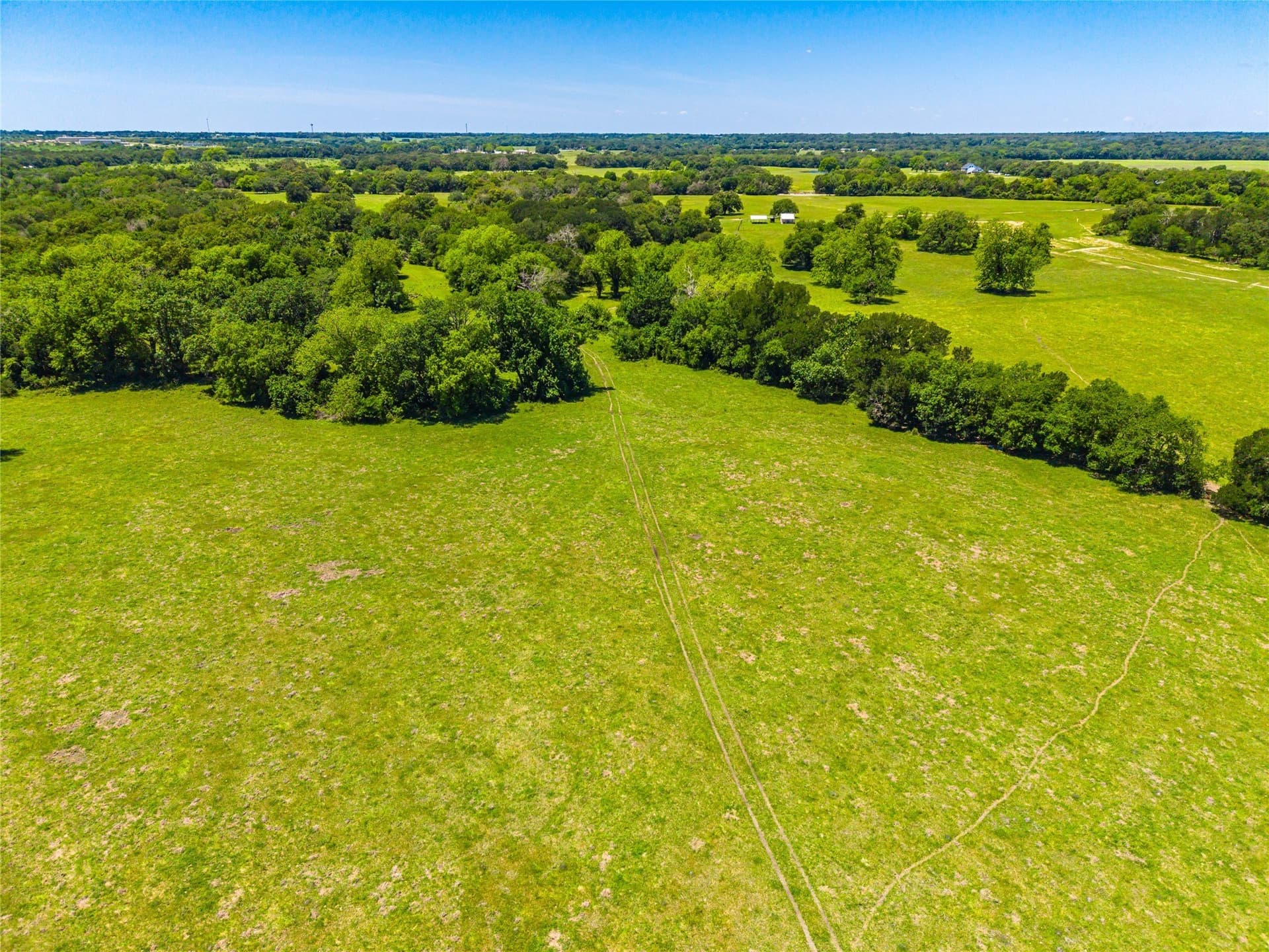 230 acres in Limestone County - photo 22