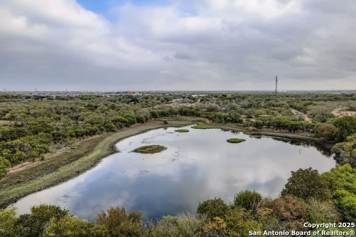 4.26 acres in Bexar County - photo 5