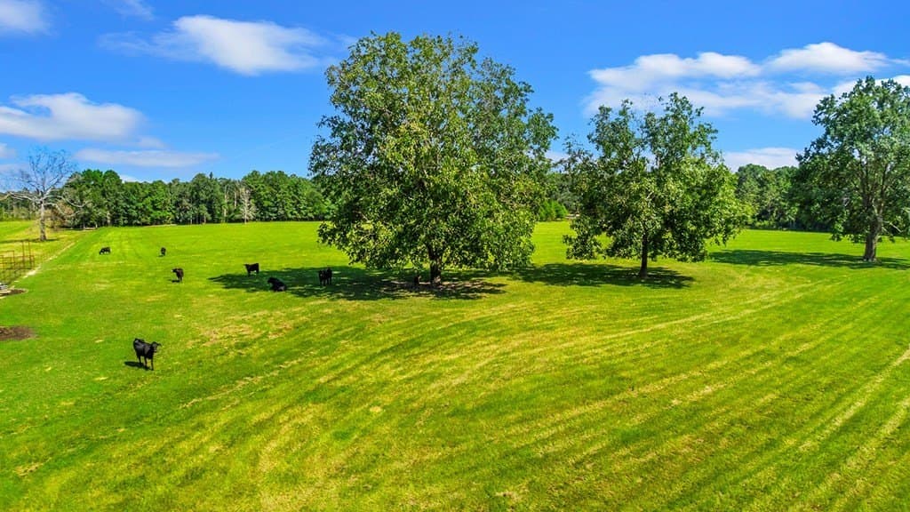 11.87 acres in Texas County gallery image 3