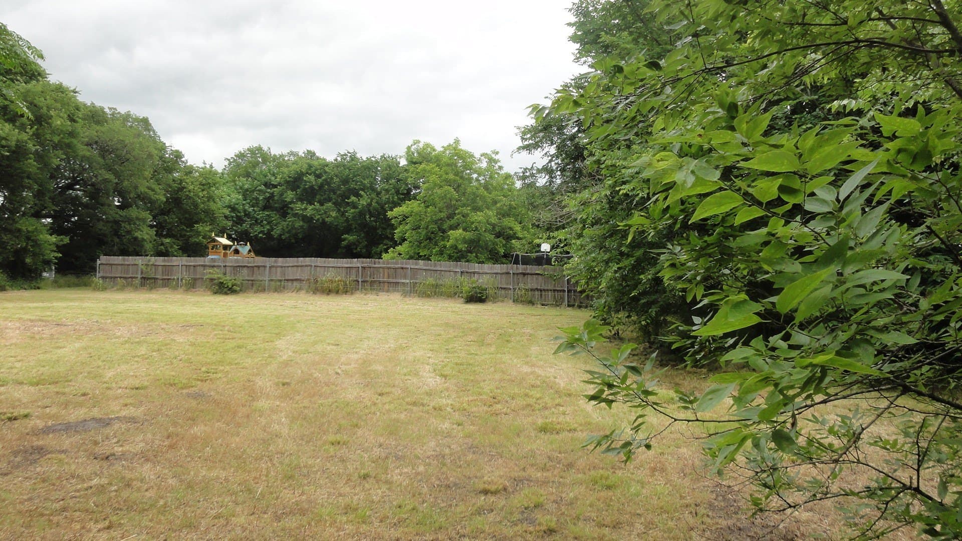 0.53 acres in Fannin County - photo 11