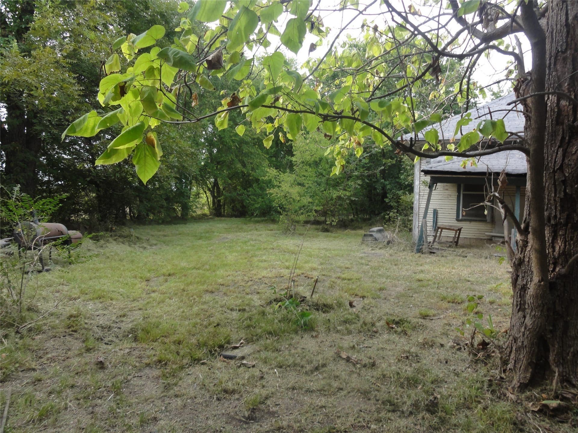 0.53 acres in Fannin County - photo 5