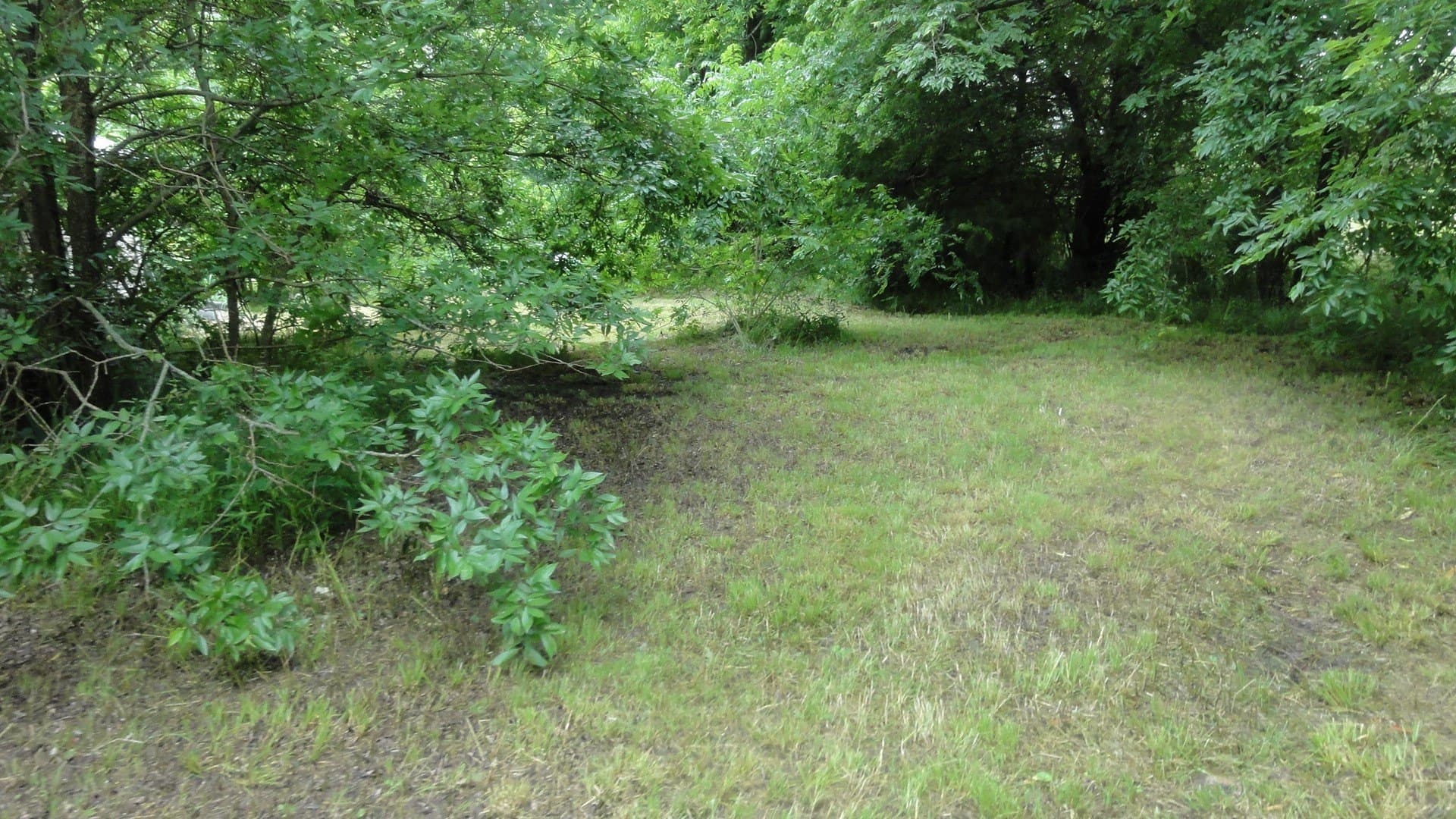 0.53 acres in Fannin County - photo 16