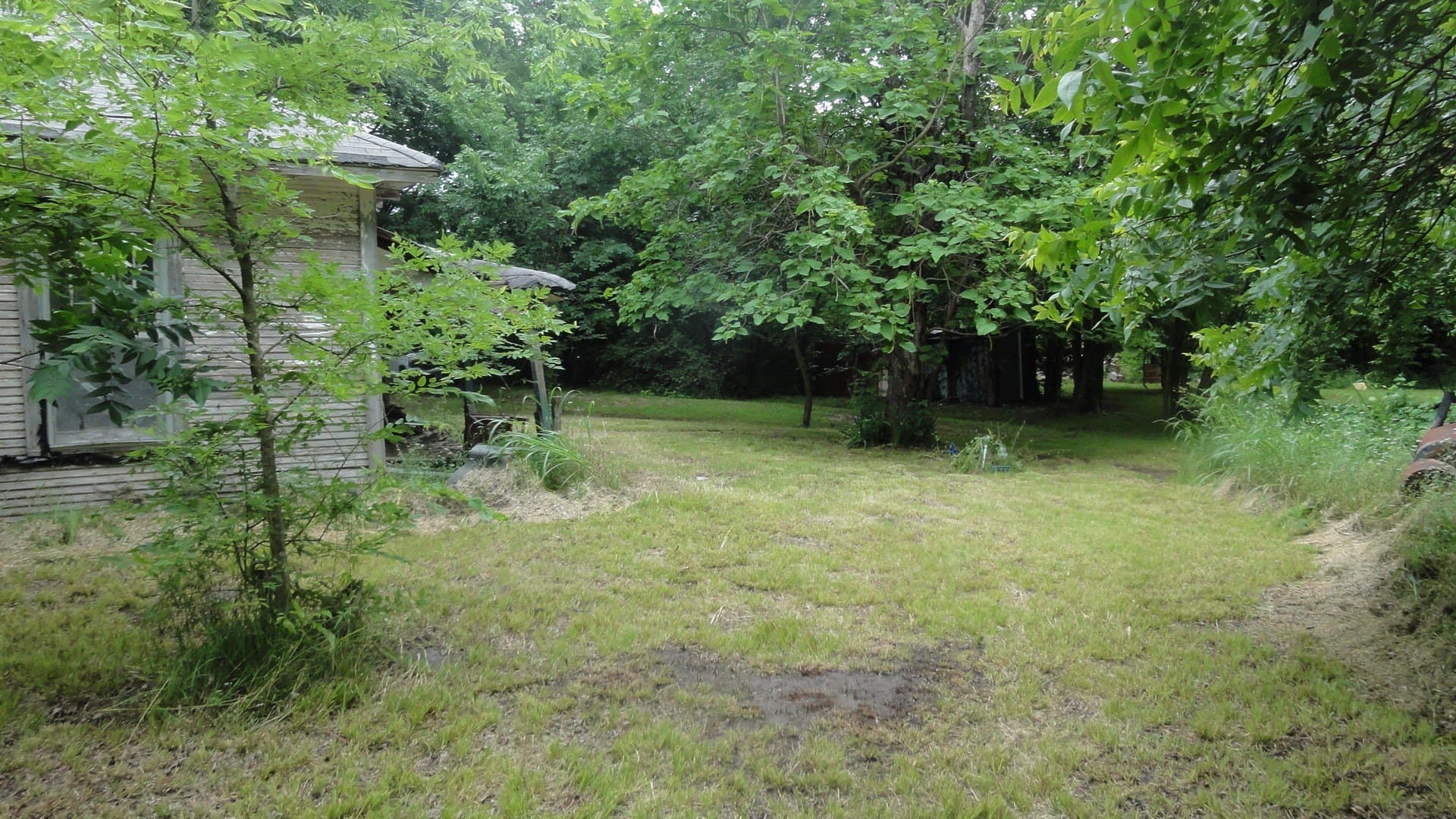 0.53 acres in Fannin County - photo 4