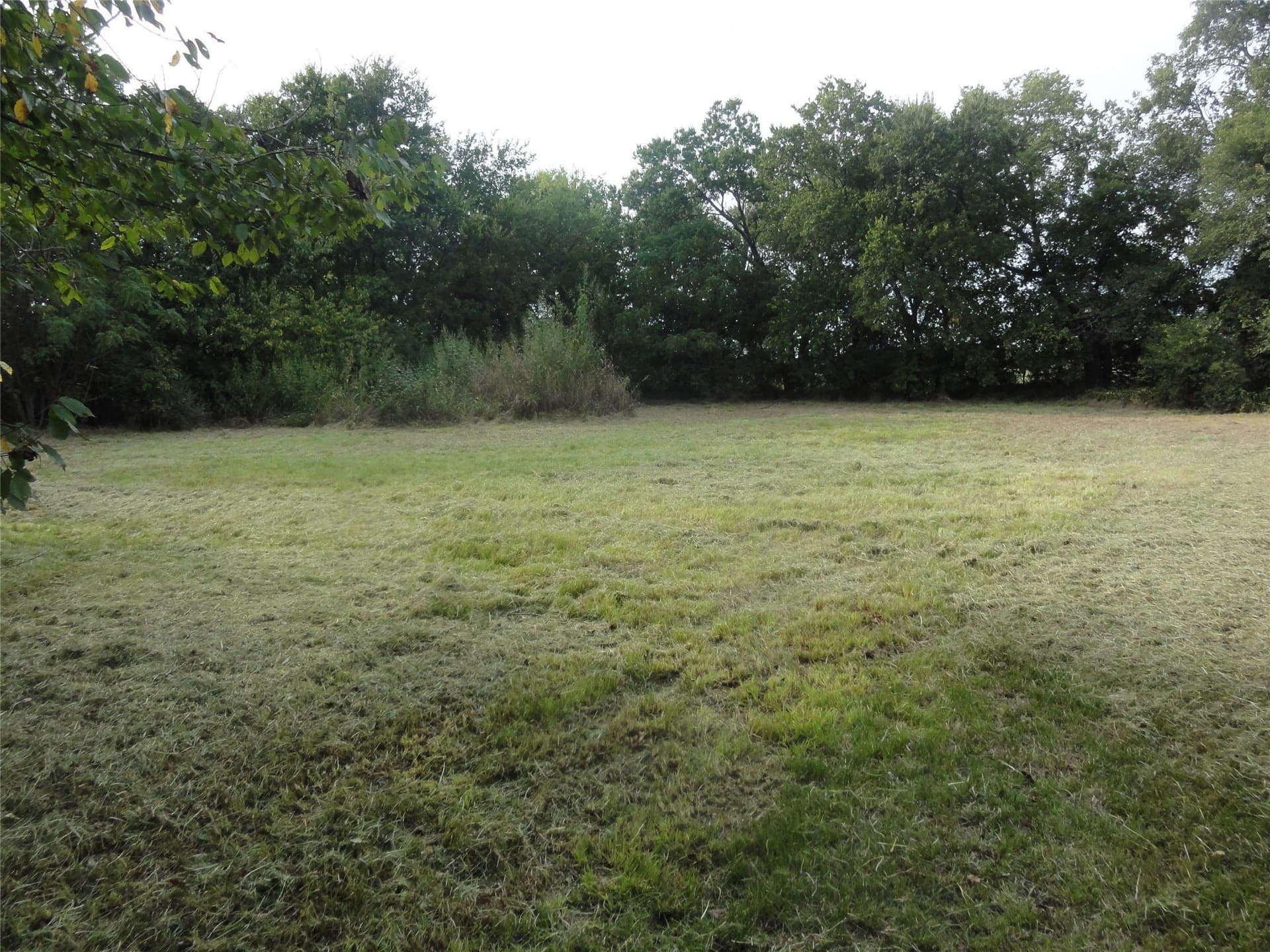 0.53 acres in Fannin County - photo 14