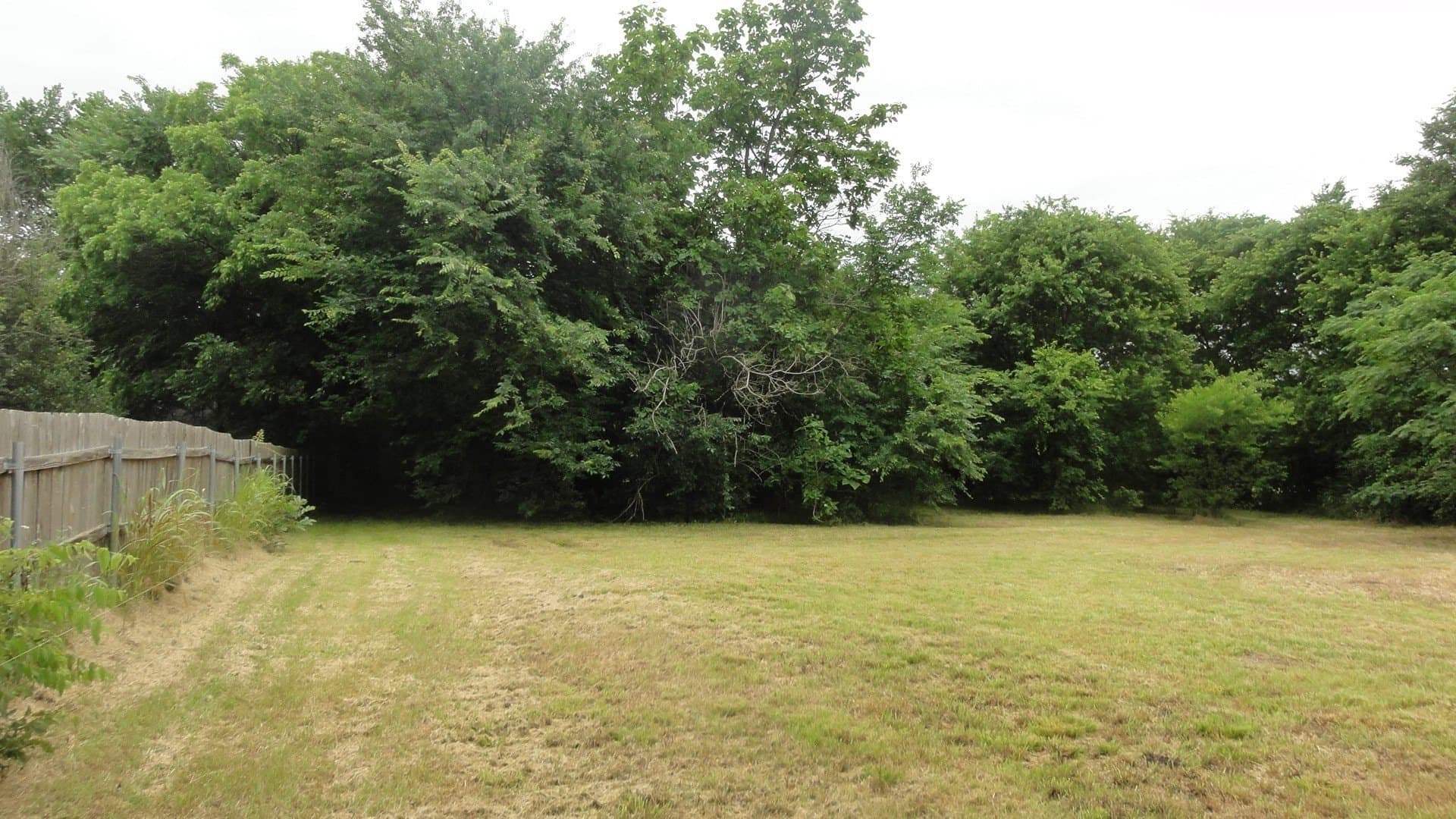 0.53 acres in Fannin County - photo 12