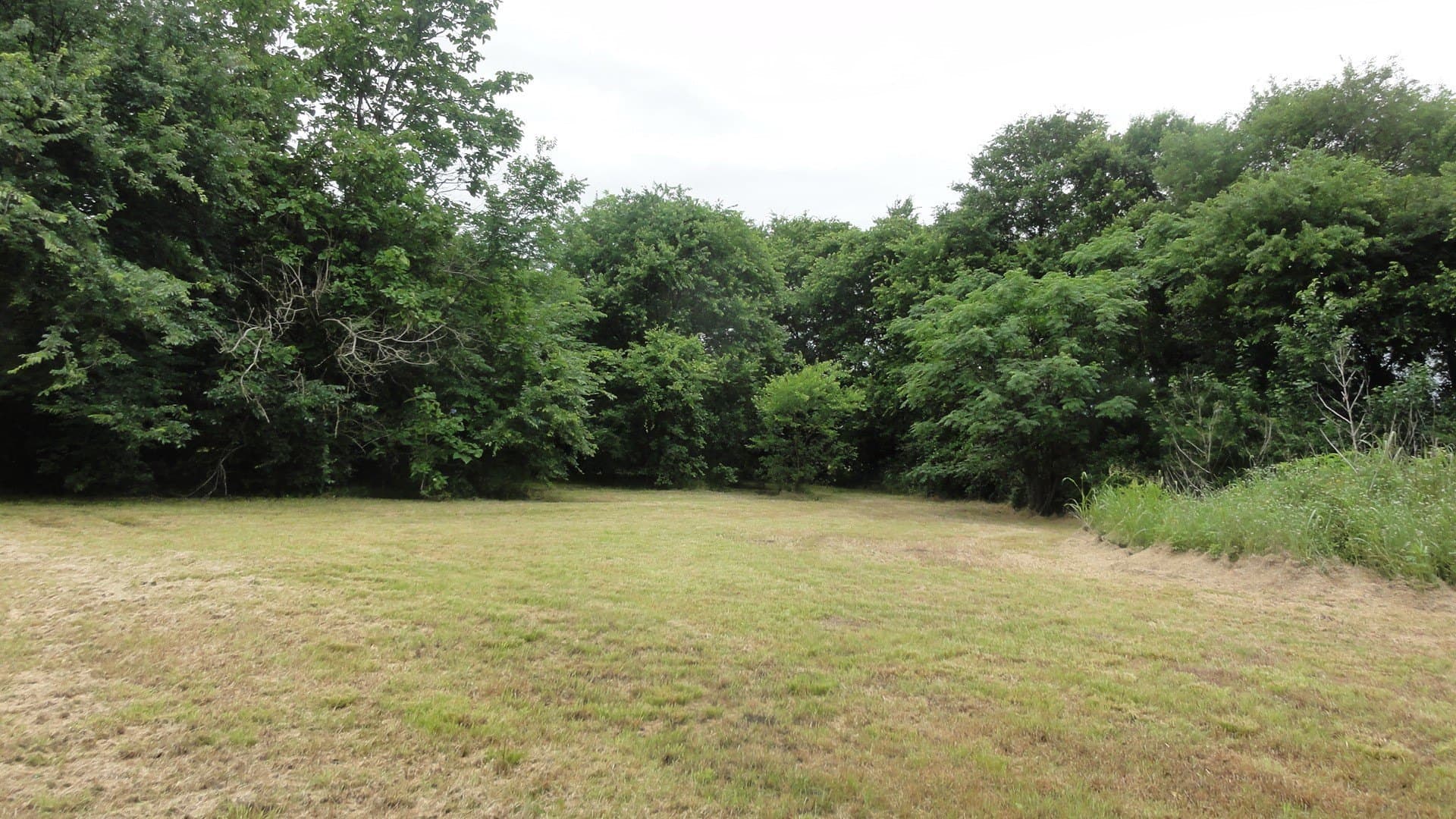 0.53 acres in Fannin County - photo 15