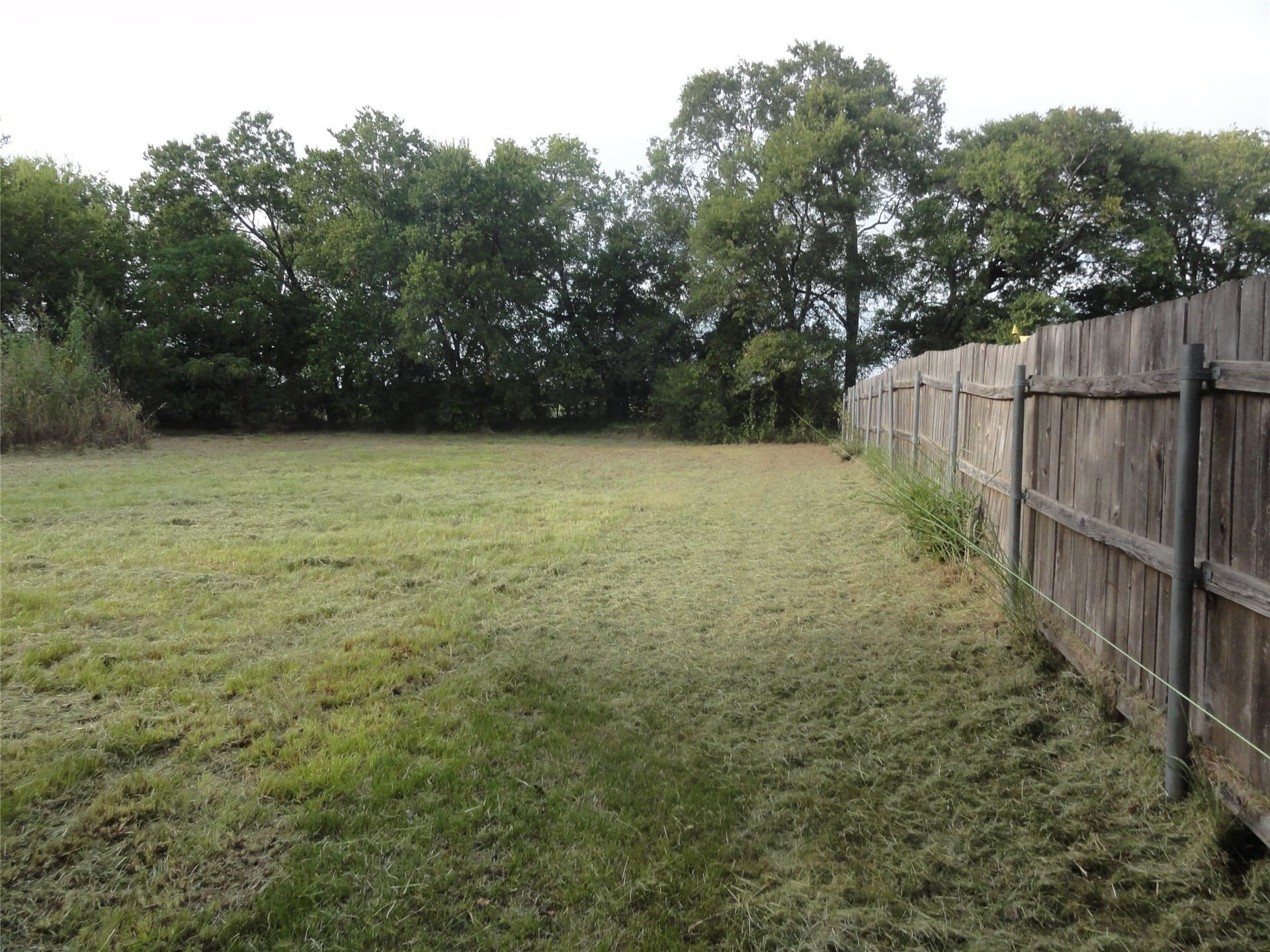 0.53 acres in Fannin County - photo 9