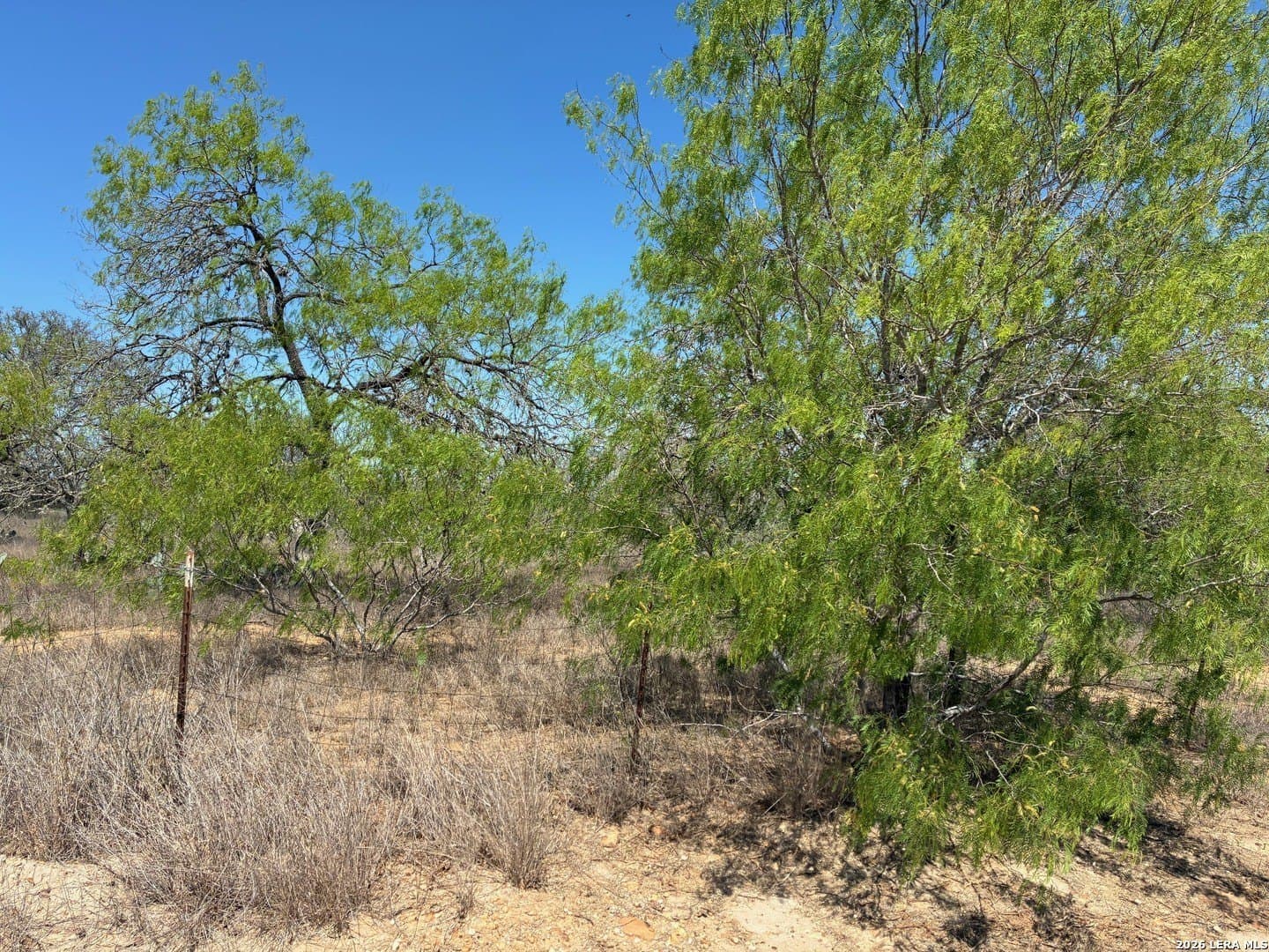 2.13 acres in Atascosa County - photo 3