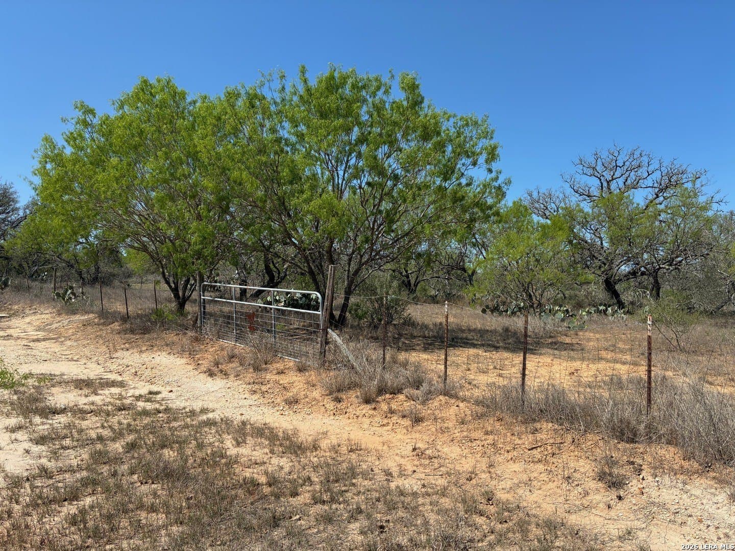 2.13 acres in Atascosa County - photo 5