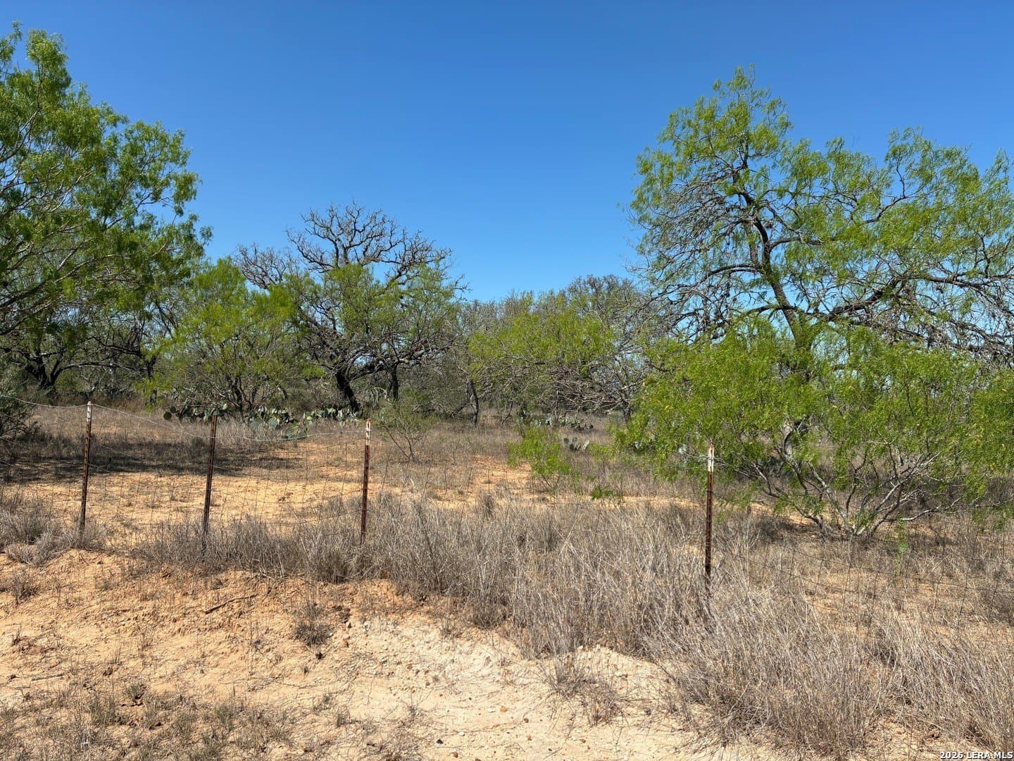 2.13 acres in Atascosa County - photo 4