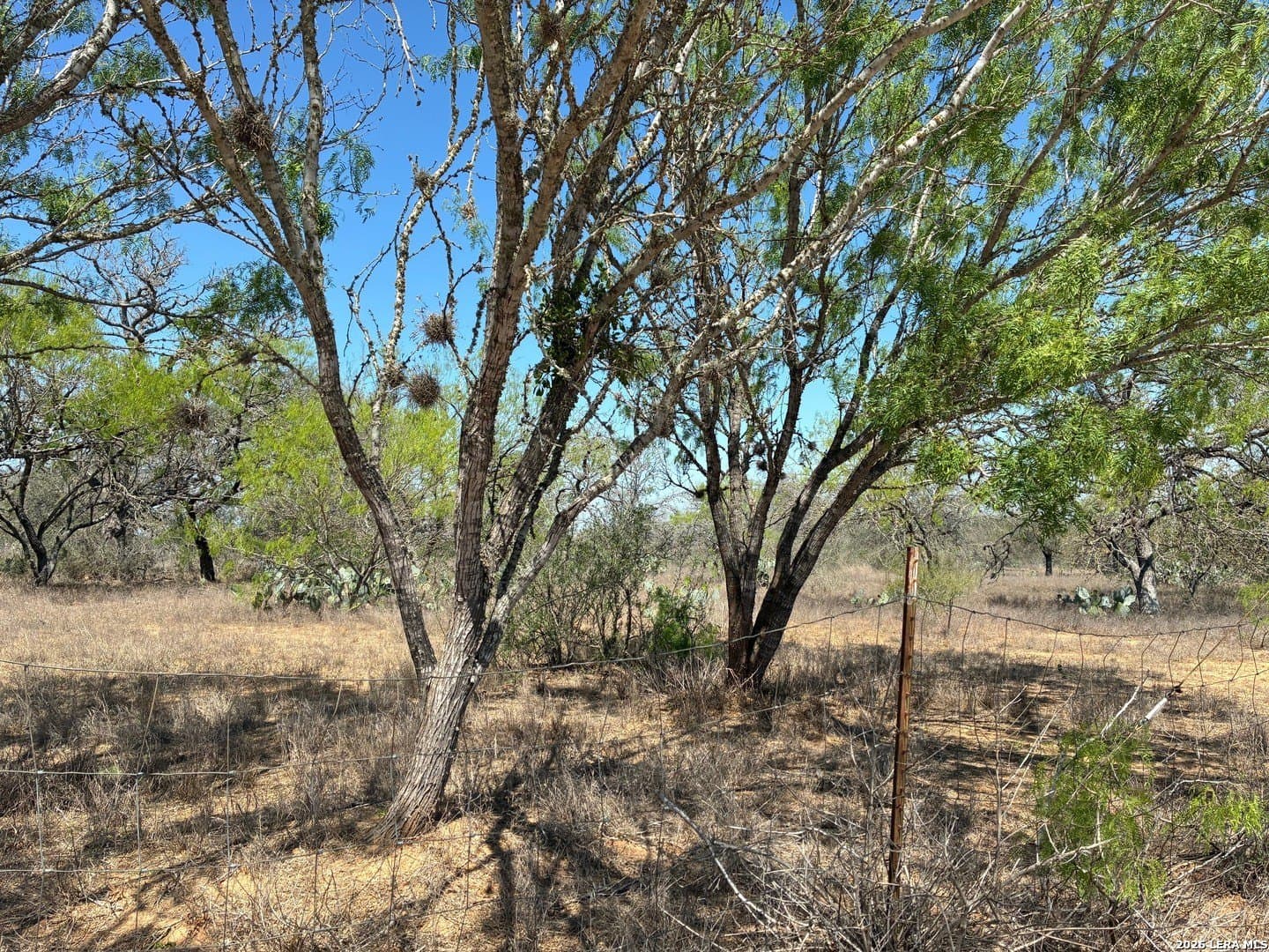 2.13 acres in Atascosa County - photo 7