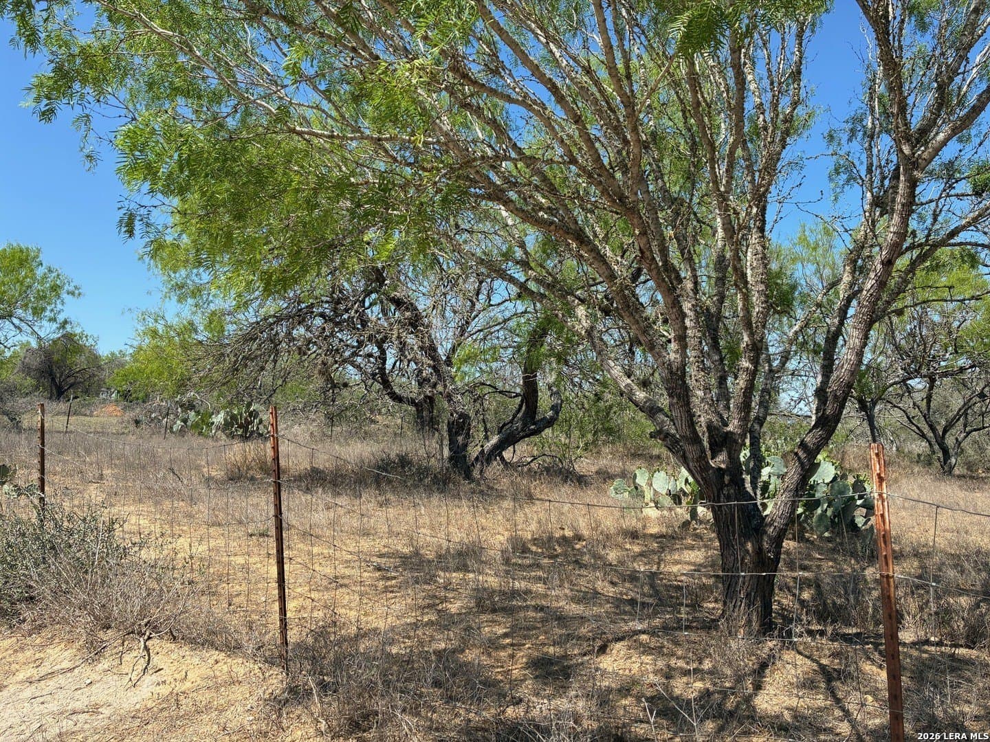 2.13 acres in Atascosa County - photo 9